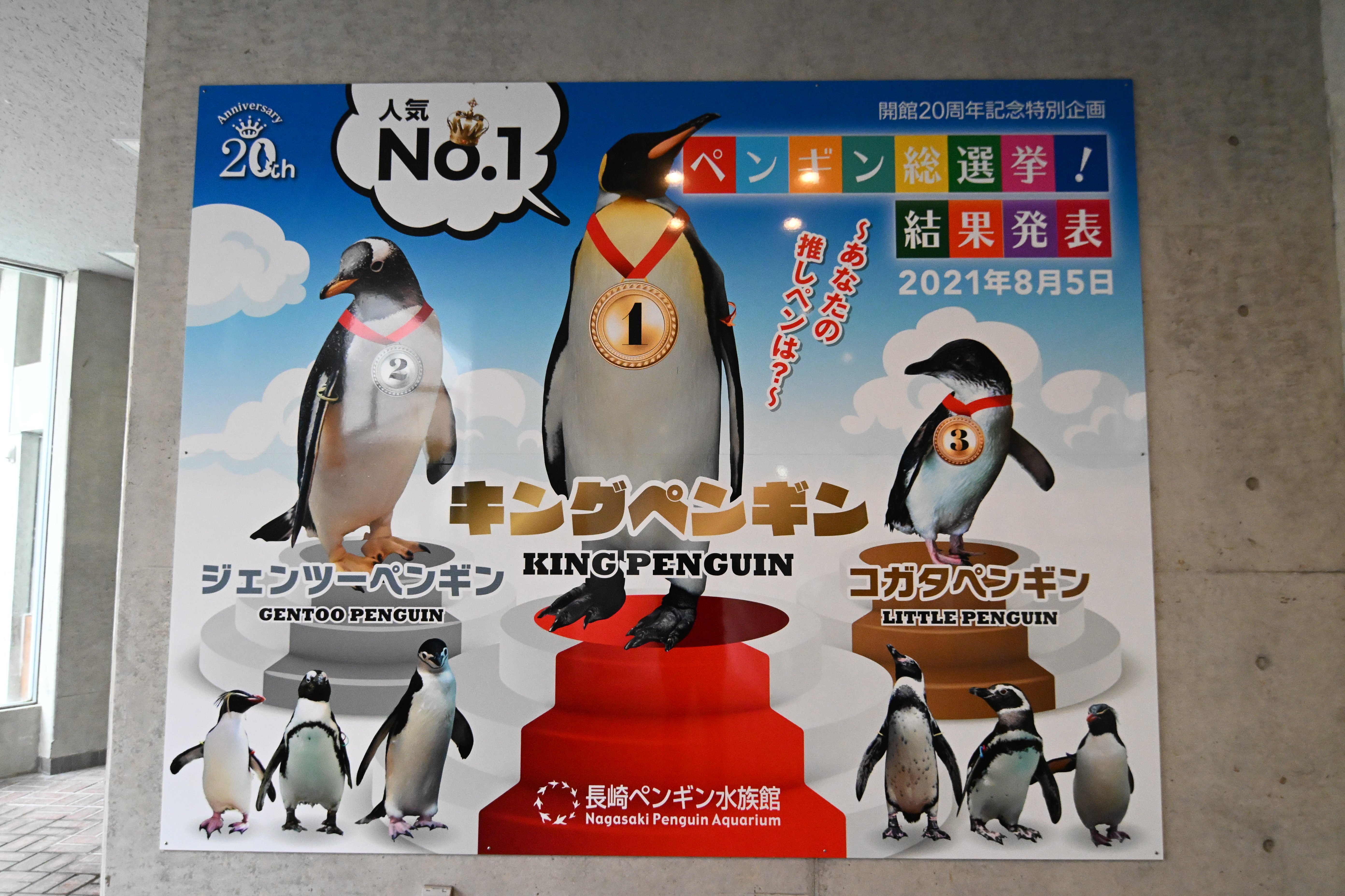 20260101_長崎ペンギン水族館【Nikon Z50IIと水族館】｜山ネズミ