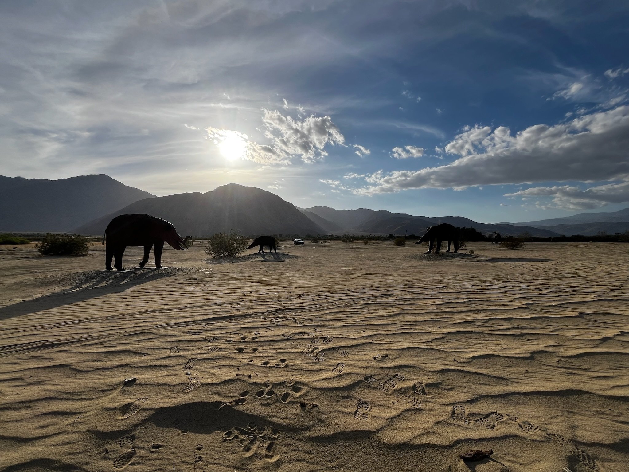 アンザボレゴ砂漠州立公園【Anza-Borrego Desert State Park】〜砂漠で