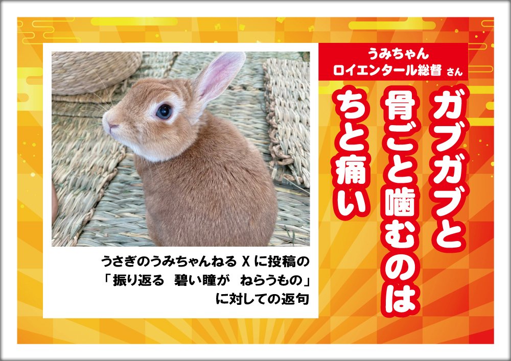 うさぎ川柳2026年…みなさんの作品をまとめ掲載！｜うさぎのうみちゃんねる