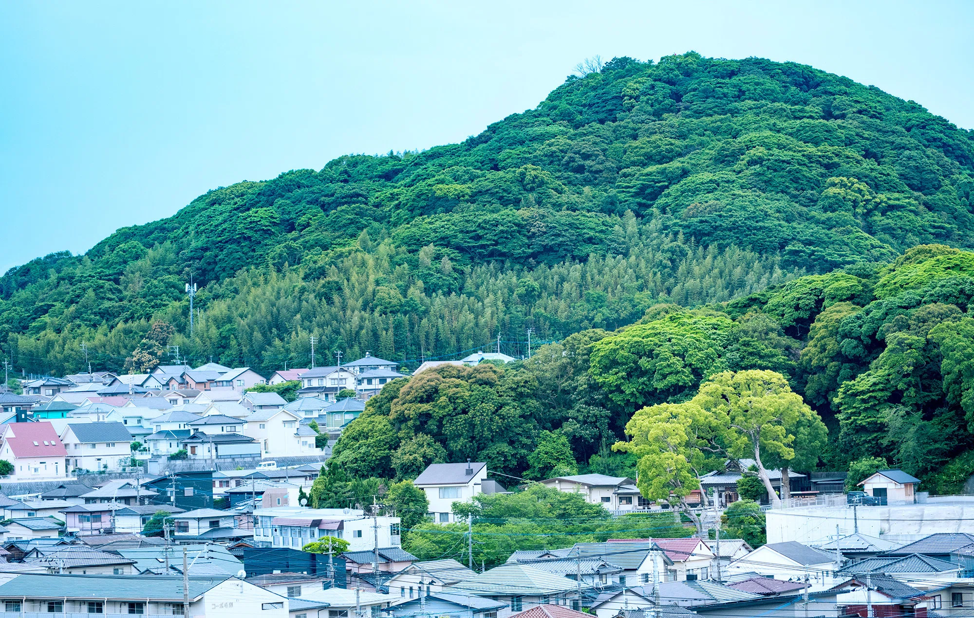 由緒や物語を記号に翻訳した、地域に根付く北九州の氏神神社「日峯神社