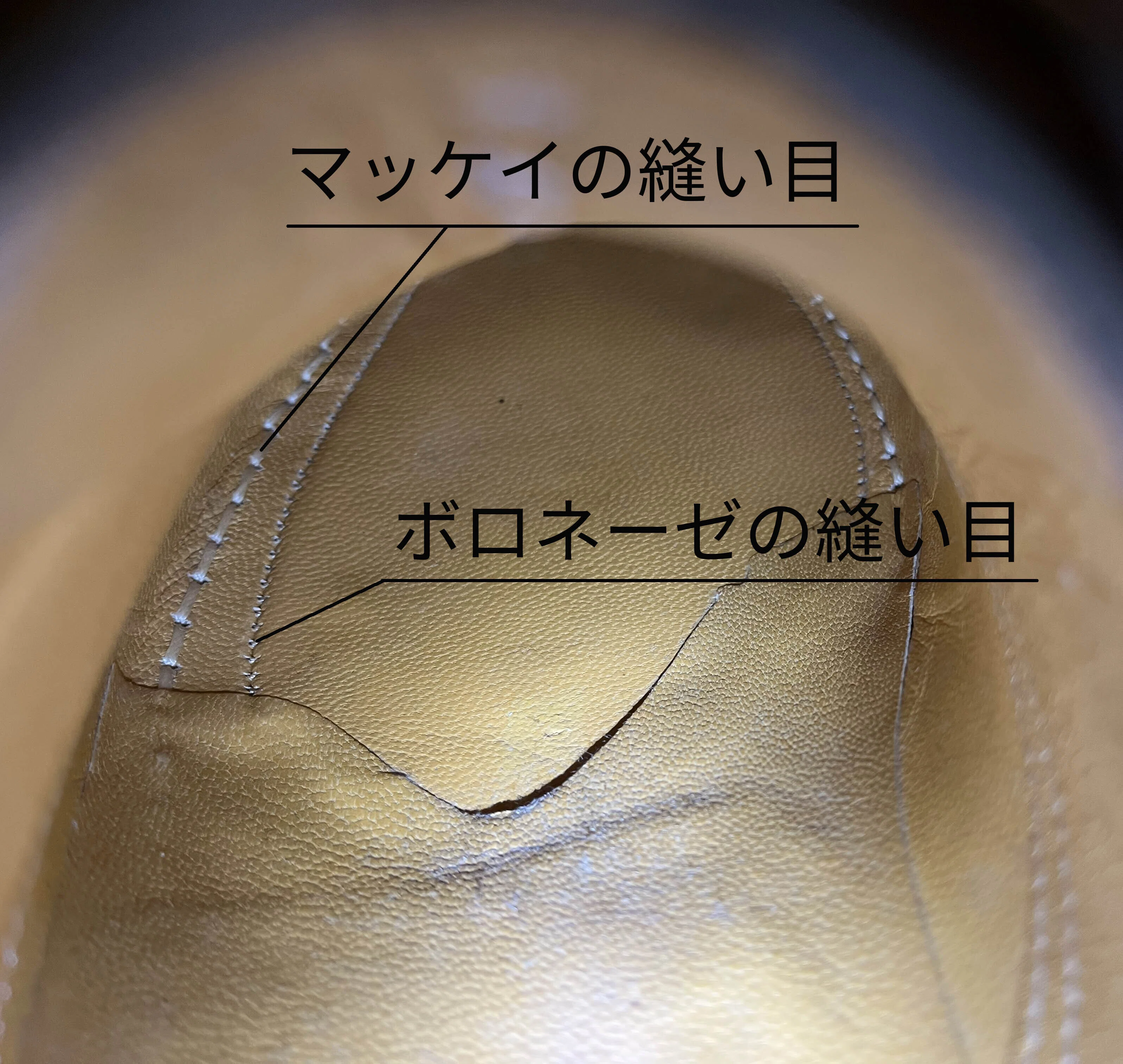ア・テストーニ（もしくはテストーニ）について僕が知っていること。｜木村