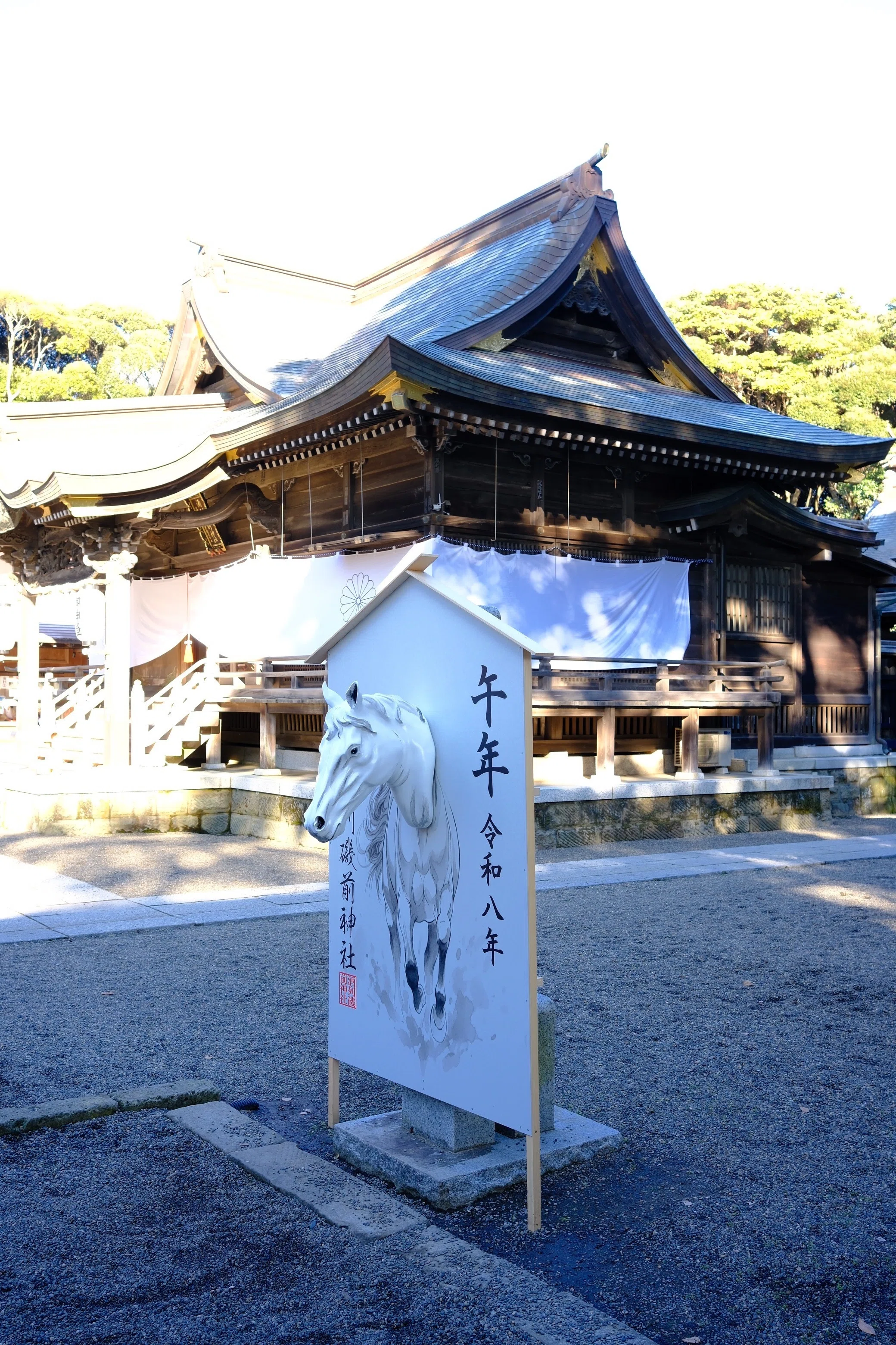 ⛩️023 酒列磯前神社（ひたちなか市＠茨城）｜みどころ満載、タブノキ