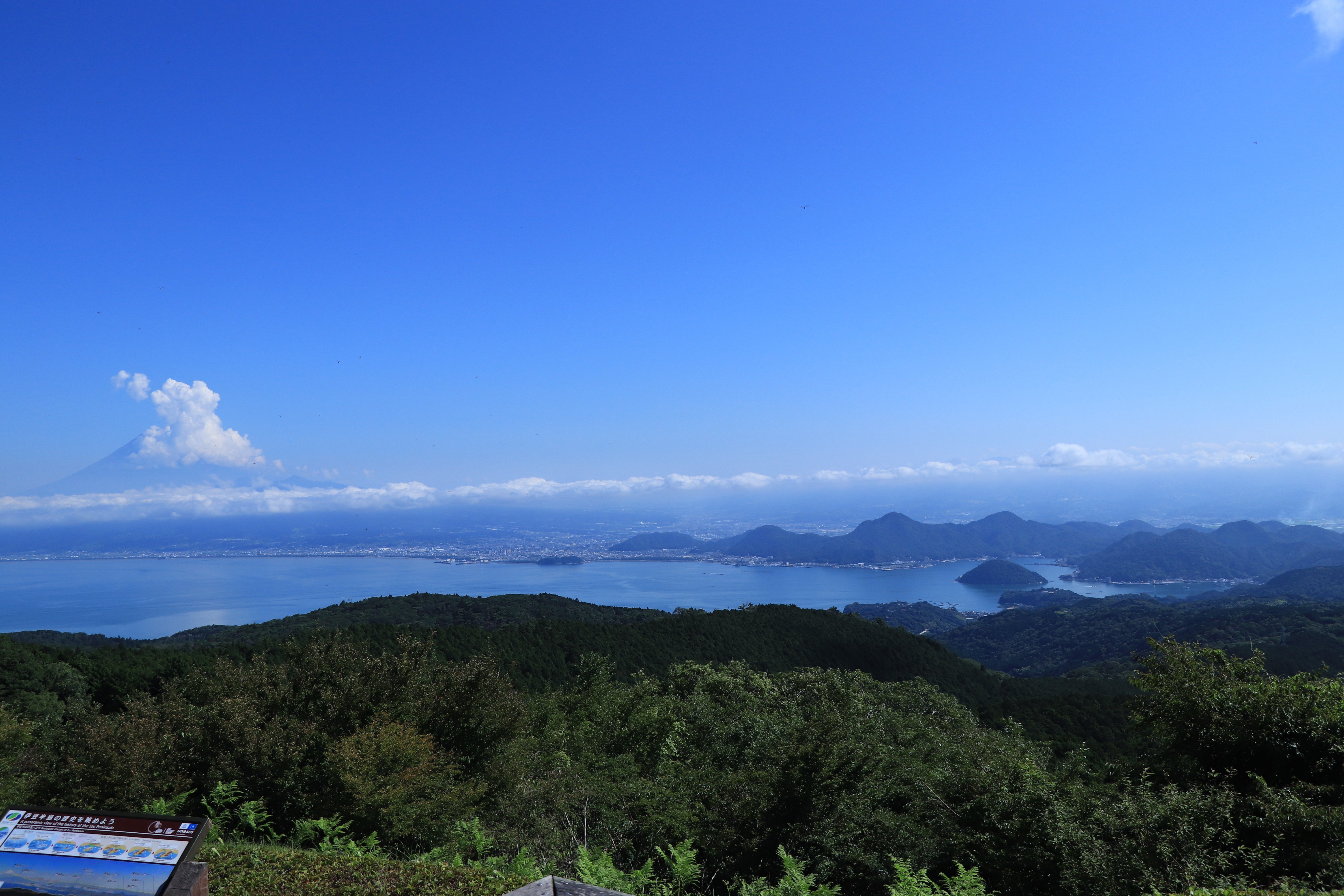 伊豆半島を一日で一周するドライブ旅#2｜prprcorgi