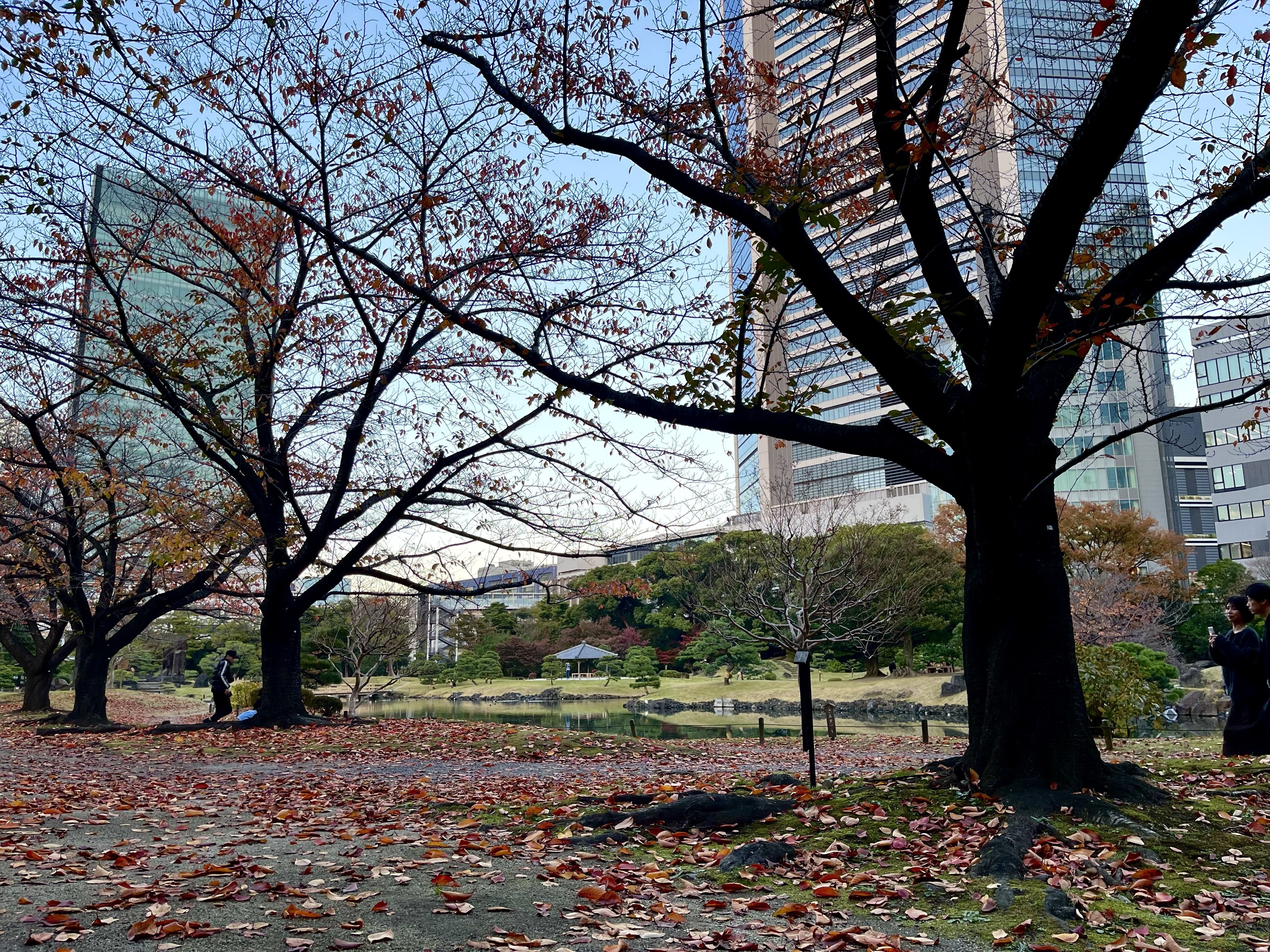 📷 [Photo Log] 旧芝離宮恩賜庭園〜東京タワー | 2025-11-24｜Phonora