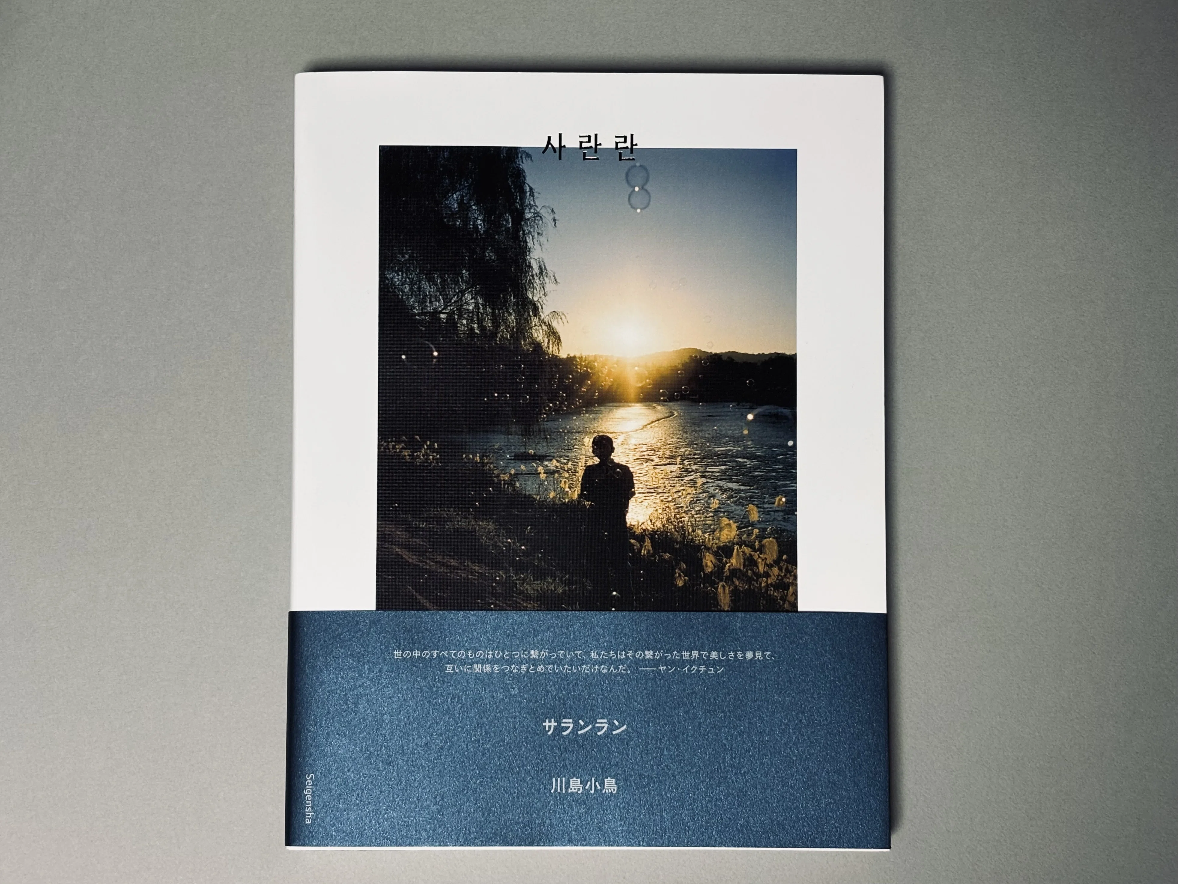 サランランを観て思うこと｜Takumi Ikeda