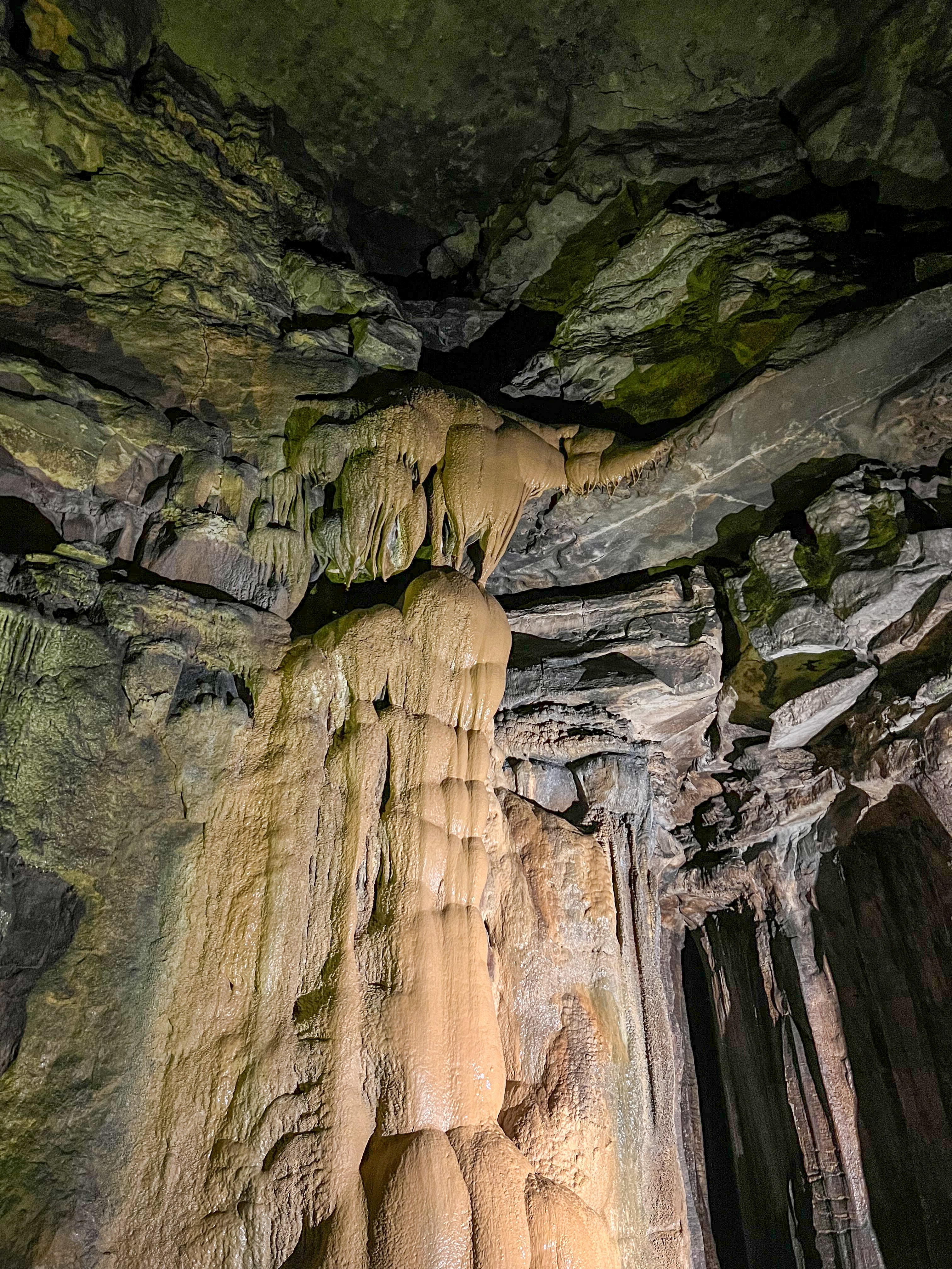 洞窟ハイキング！マンモスケーブ国立公園｜Katsuya Shiratori