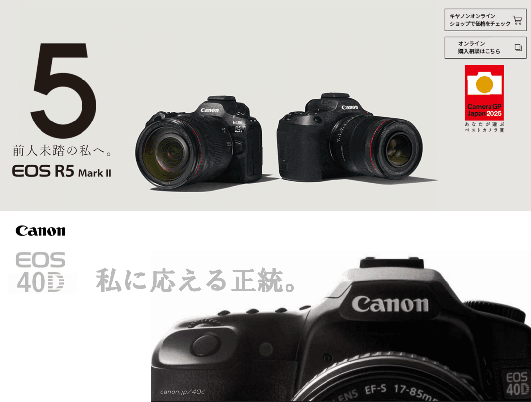 新旧比較 EOS R5 Mark II vs EOS 40D｜もりぞう