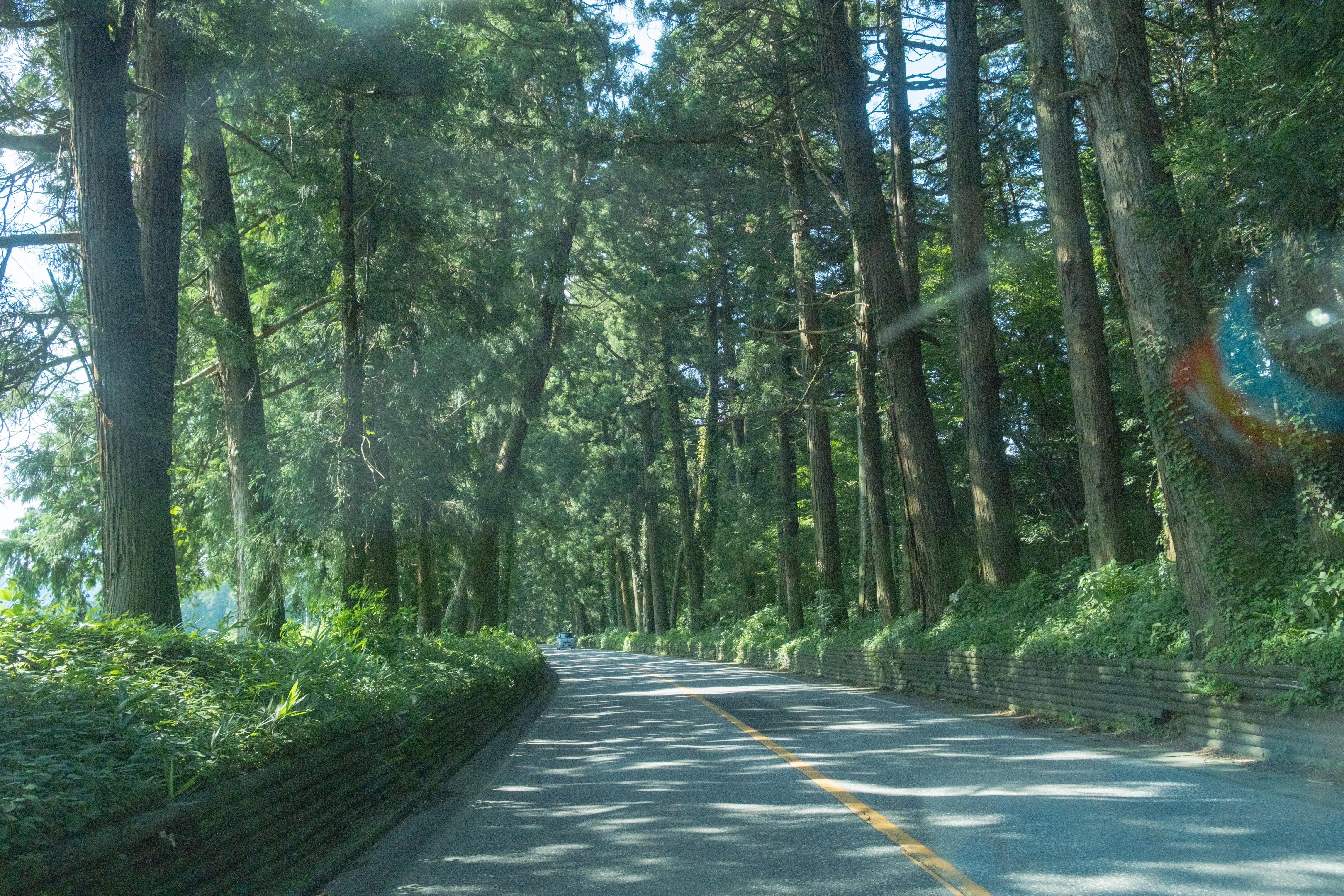 イコンの道 : ビザンチンの残照を追って イコンの道 : ビザンチンの残照を追って 777タウン.net オンライン P