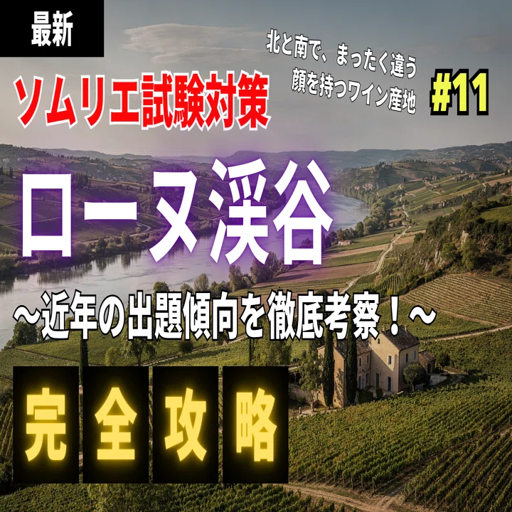 🍷フランスを代表する名産地――ローヌ渓谷ワイン完全整理【ソムリエ試験