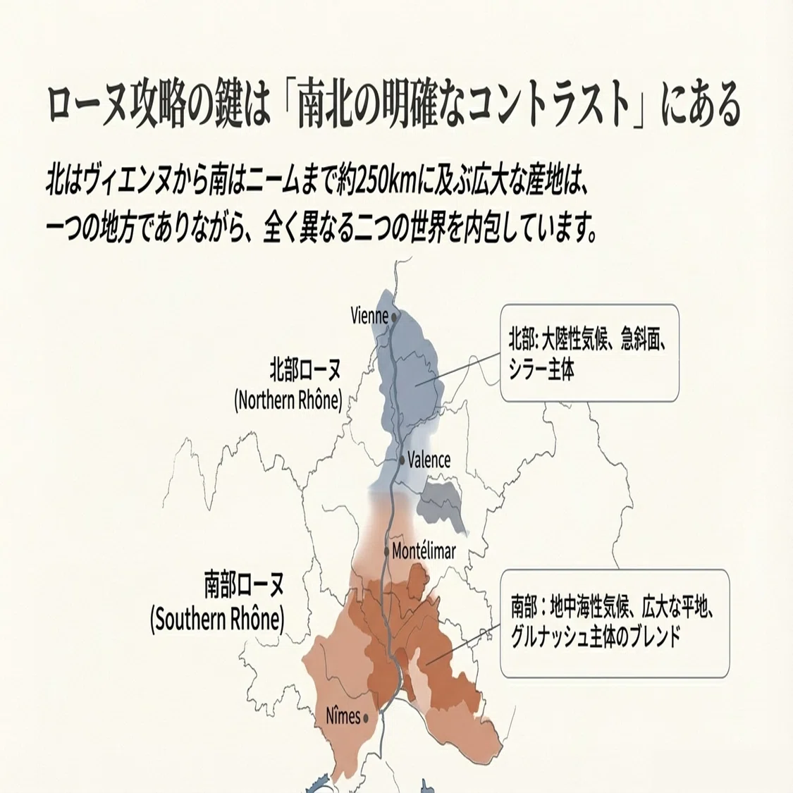 🍷フランスを代表する名産地――ローヌ渓谷ワイン完全整理【ソムリエ試験