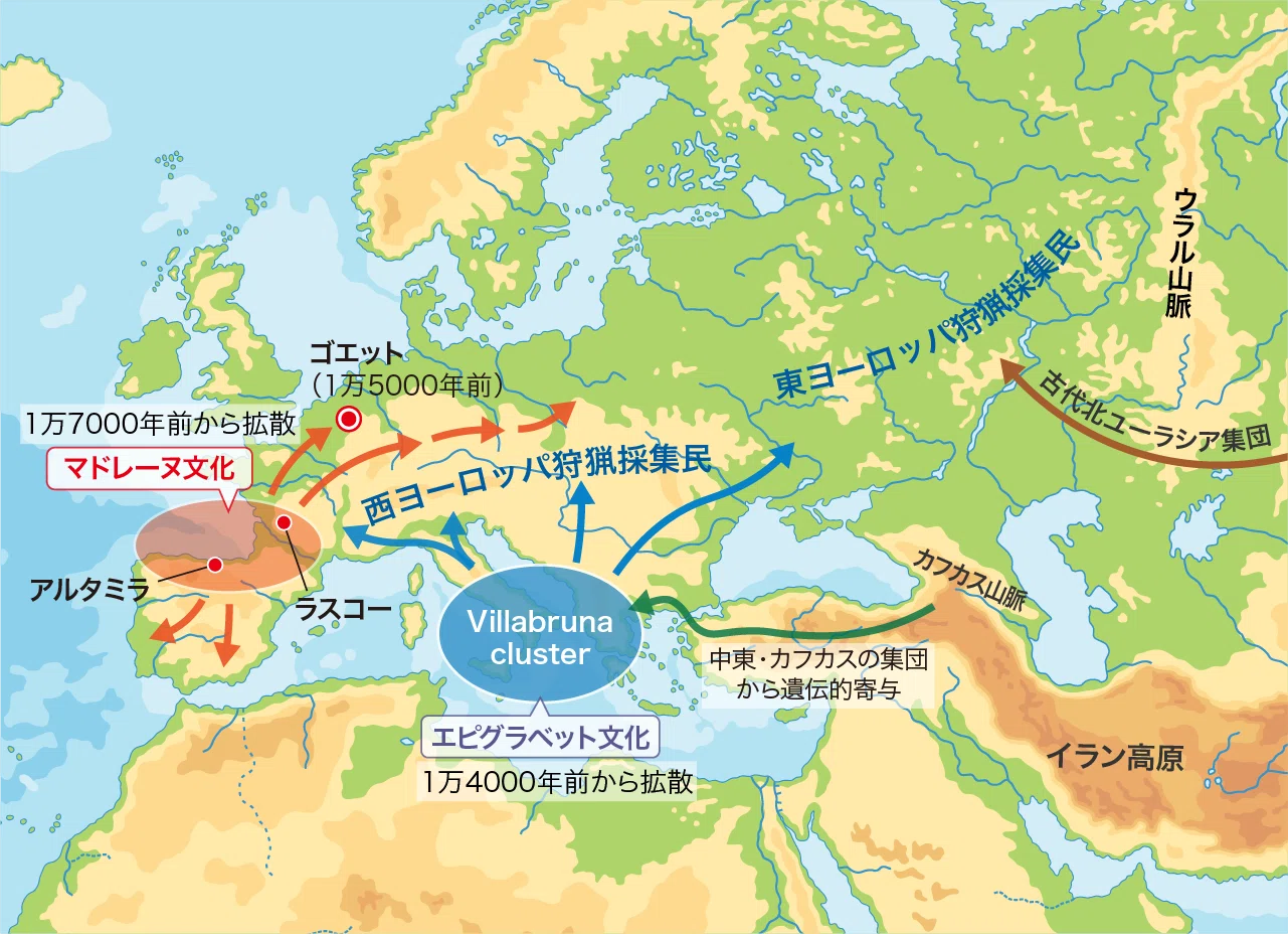 世界史探究】 サピエンス全世界拡散③ 先史ヨーロピアンの形質変容