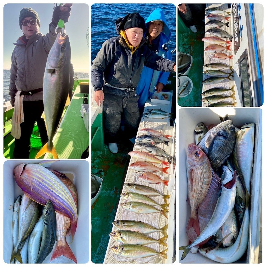 泳がせ】5kgの良型ワラサをゲット！【真鯛】最大1.2kg、黒鯛・イナダ