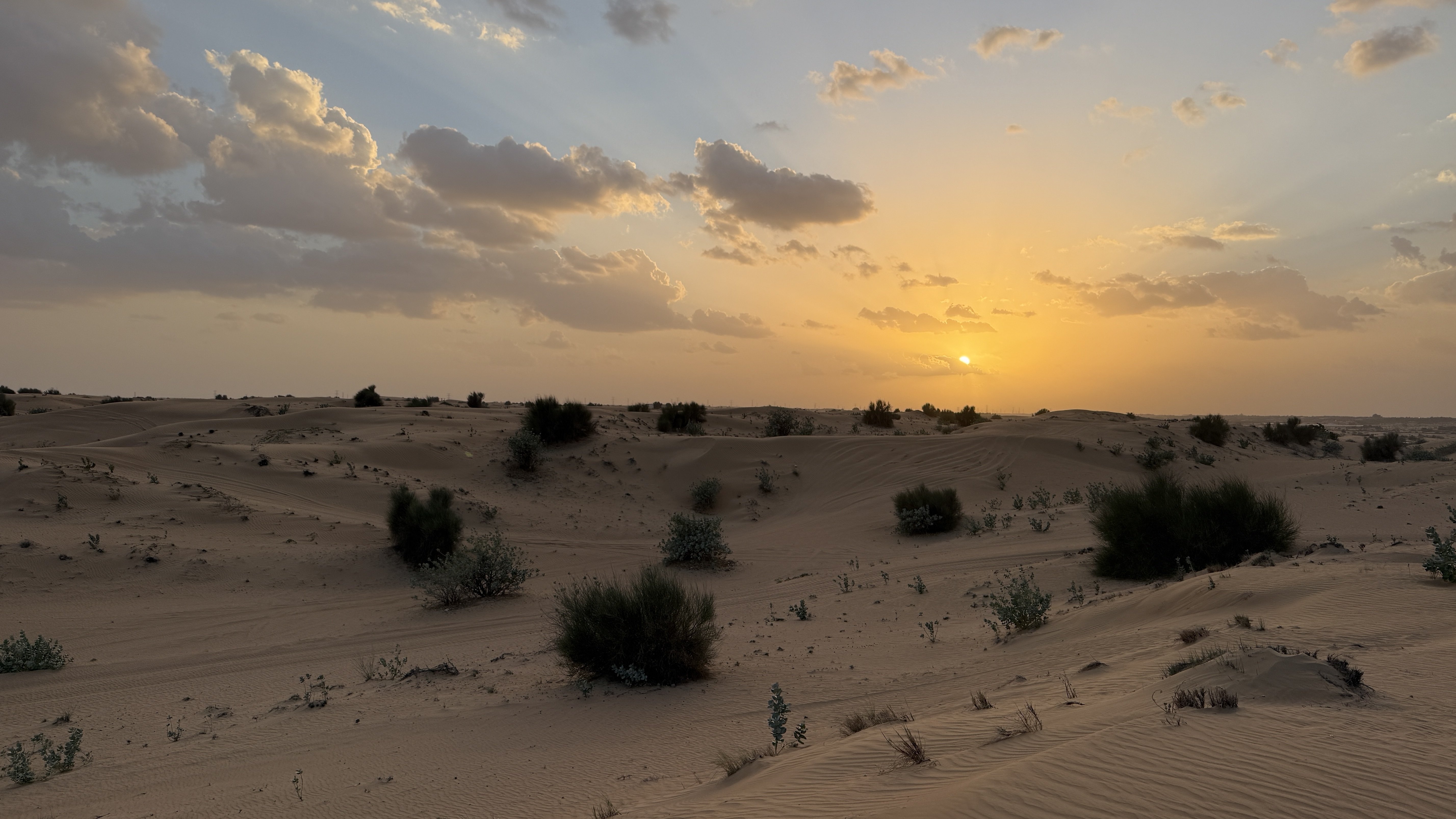 世界一周91日目｜ドバイ砂漠ツアー。正直60点の本音レビュー｜ぼる