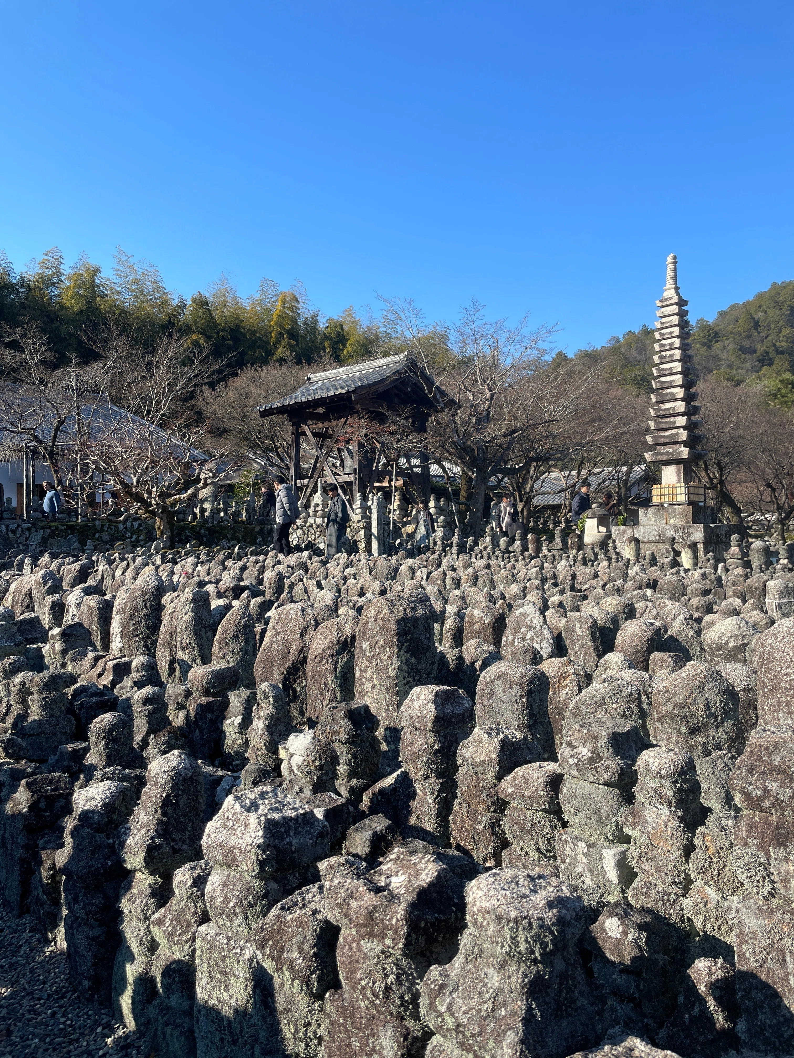 お出掛け】福田美術館で上村松園展と嵯峨野をぶらぶら｜ゆず