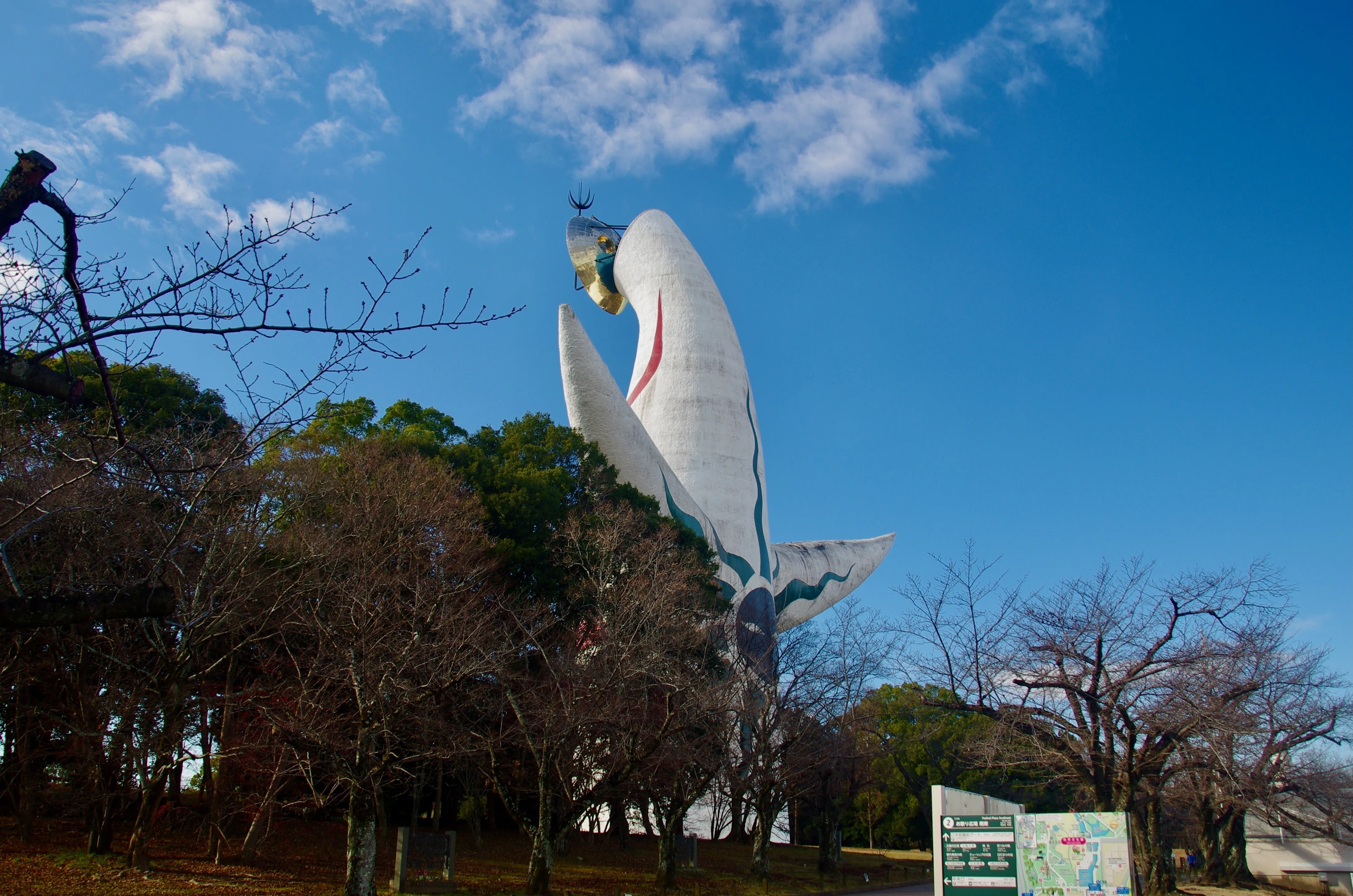 写真日記】 ツバキを見に万博記念公園へ2026.1.6.｜オオニシ チヒロ