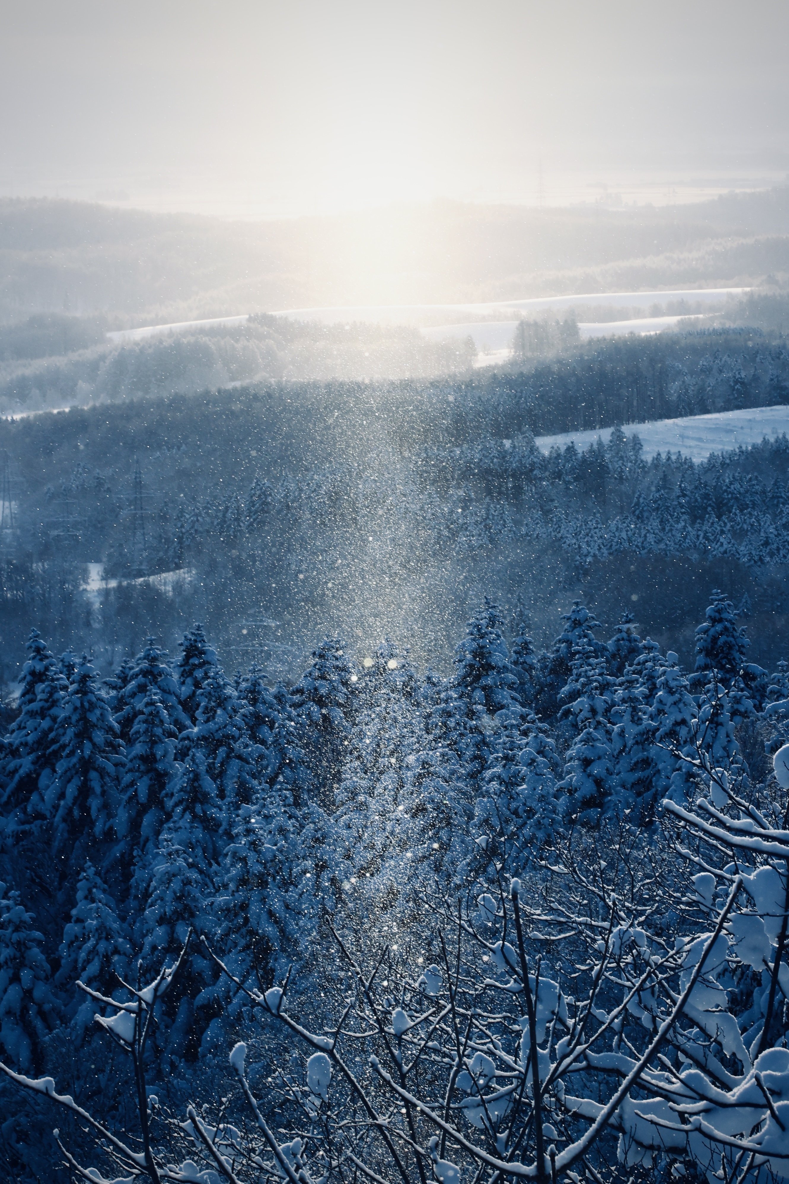 真冬の旅2026 Day 6｜田中稔彦