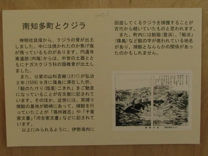 愛知 | 閉館】廃校で眠る骸骨 | 南知多郷土資料館 （1回/全2回
