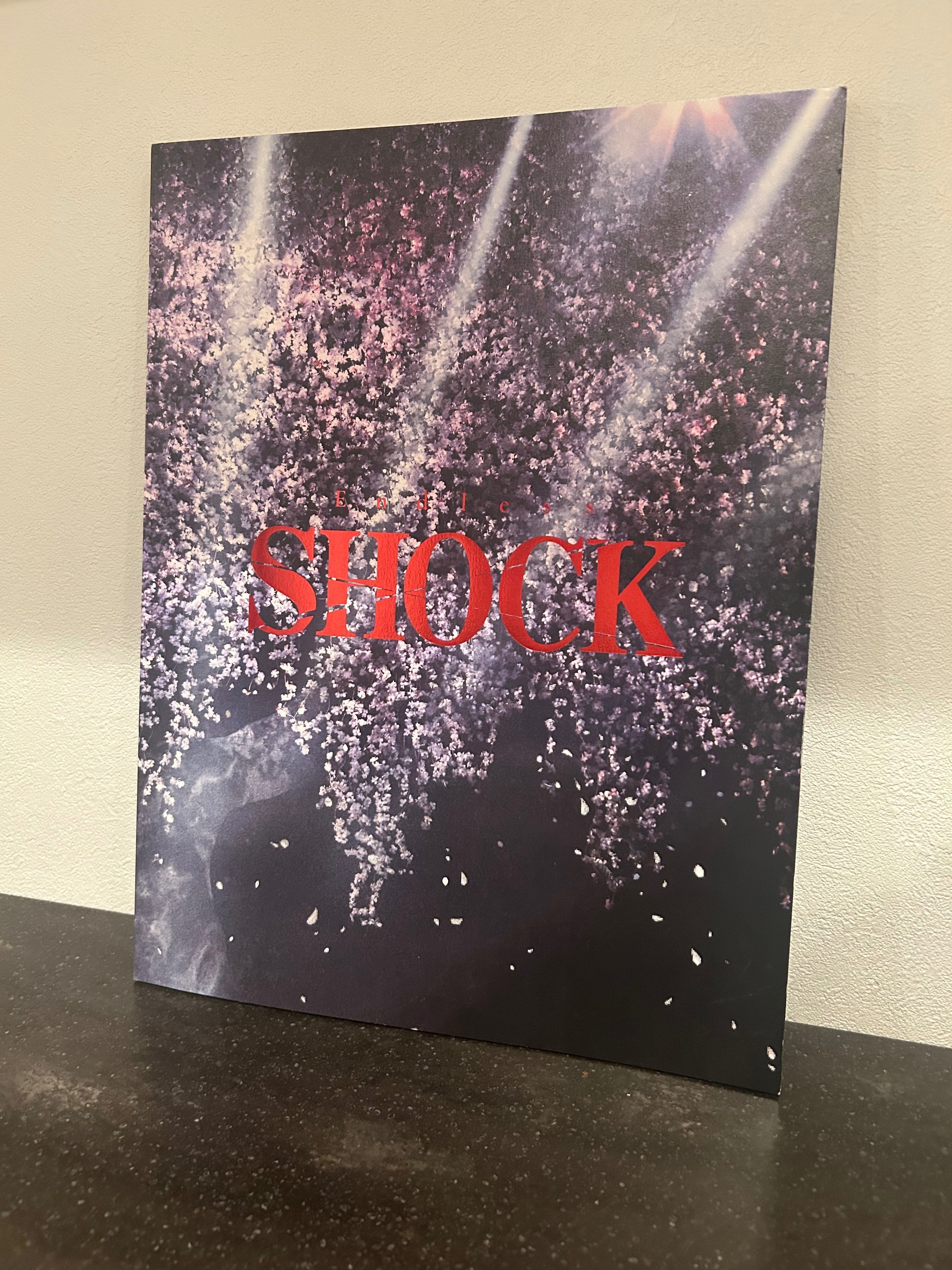 EndlessSHOCK パンフレット 25冊 EndlessSHOCK パンフレット 25冊 - メルカリ