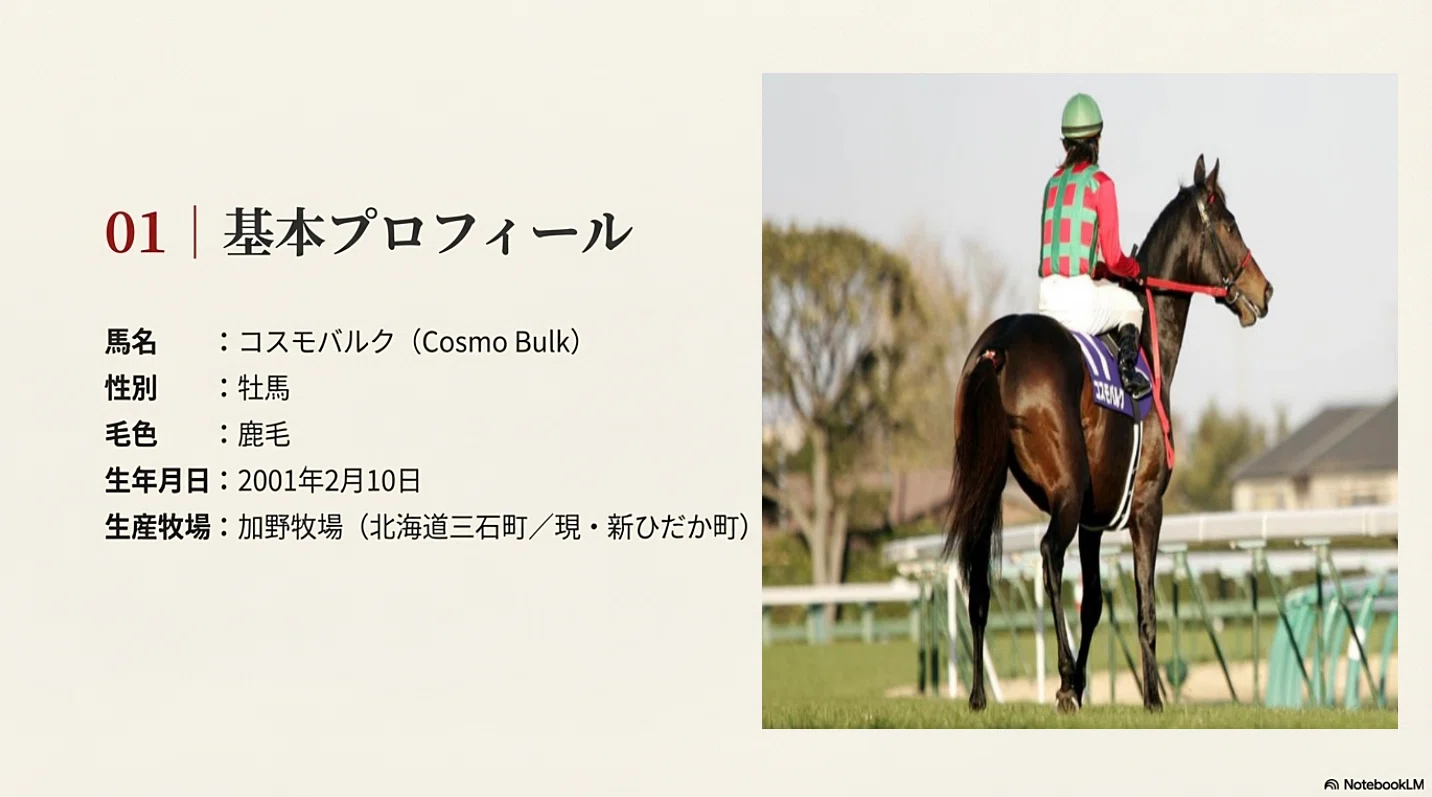 【競馬】コスモバルク コスモバルク －地方所属で中央・海外に挑んだ競走馬の軌跡－｜ハサミ