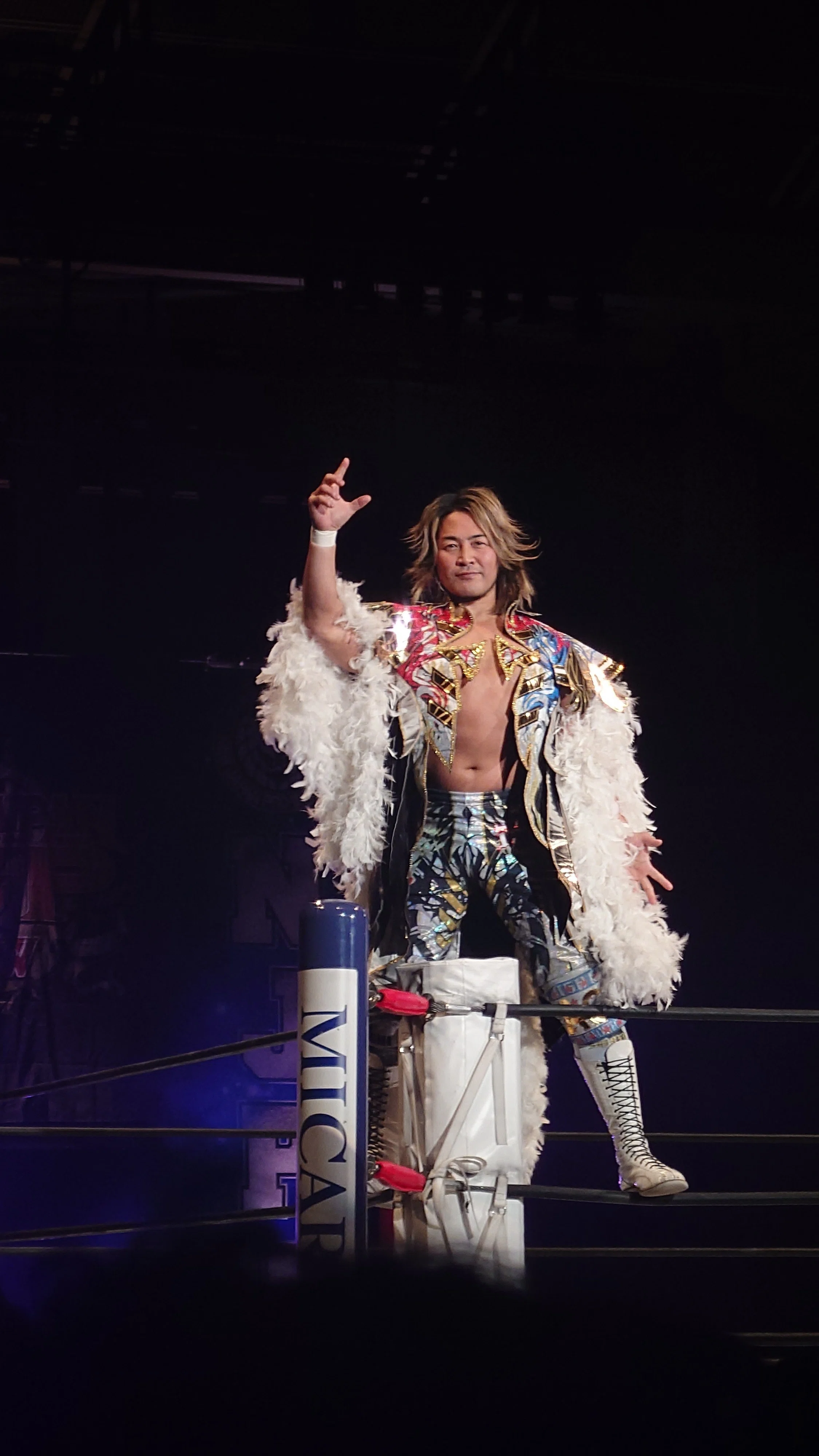 サンセイアールアンドディ presents WRESTLE KINGDOM 20 in 東京ドーム