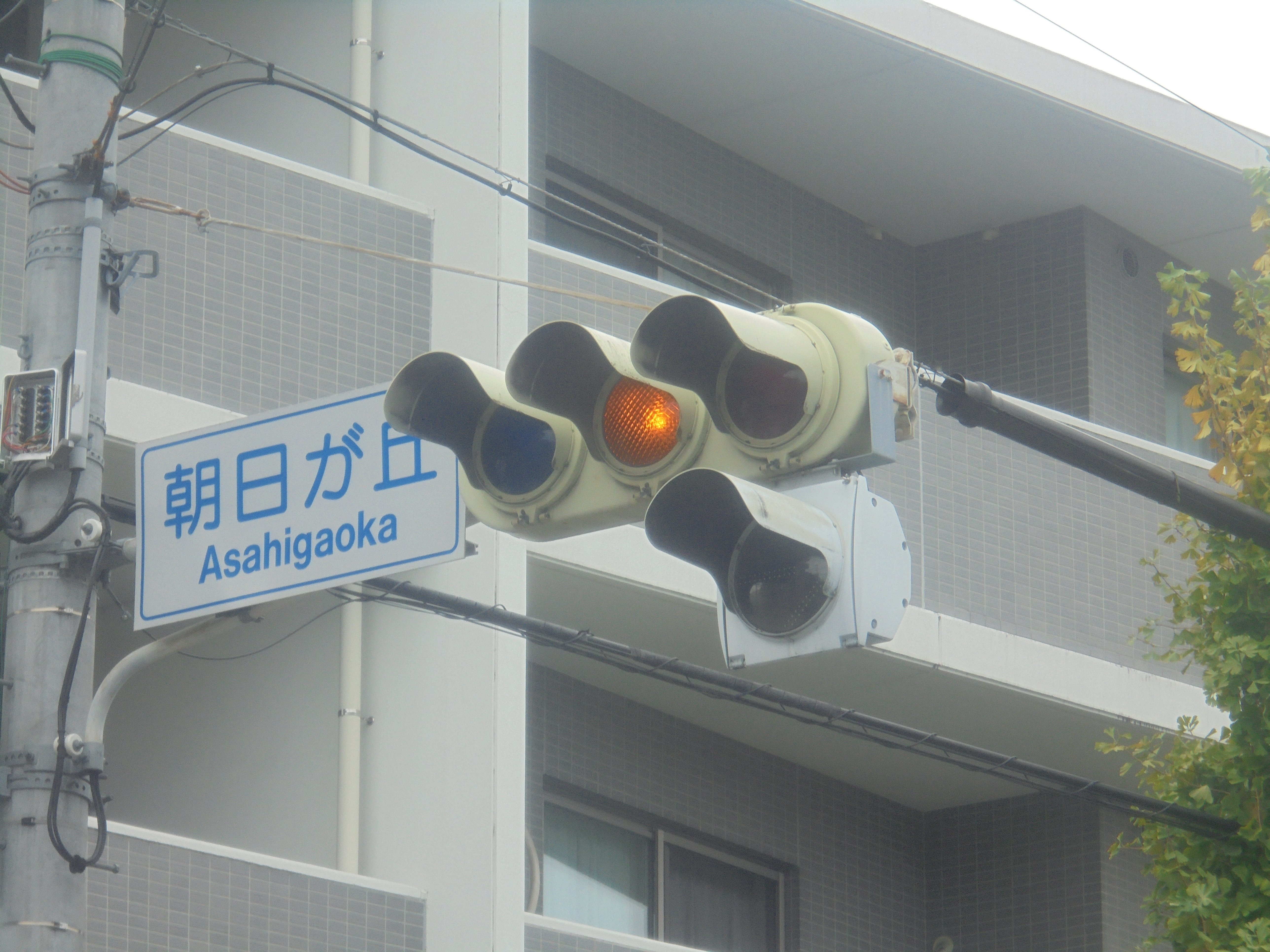 愛知県名古屋市のZレンズ樹脂｜けんだまの信号機撮影