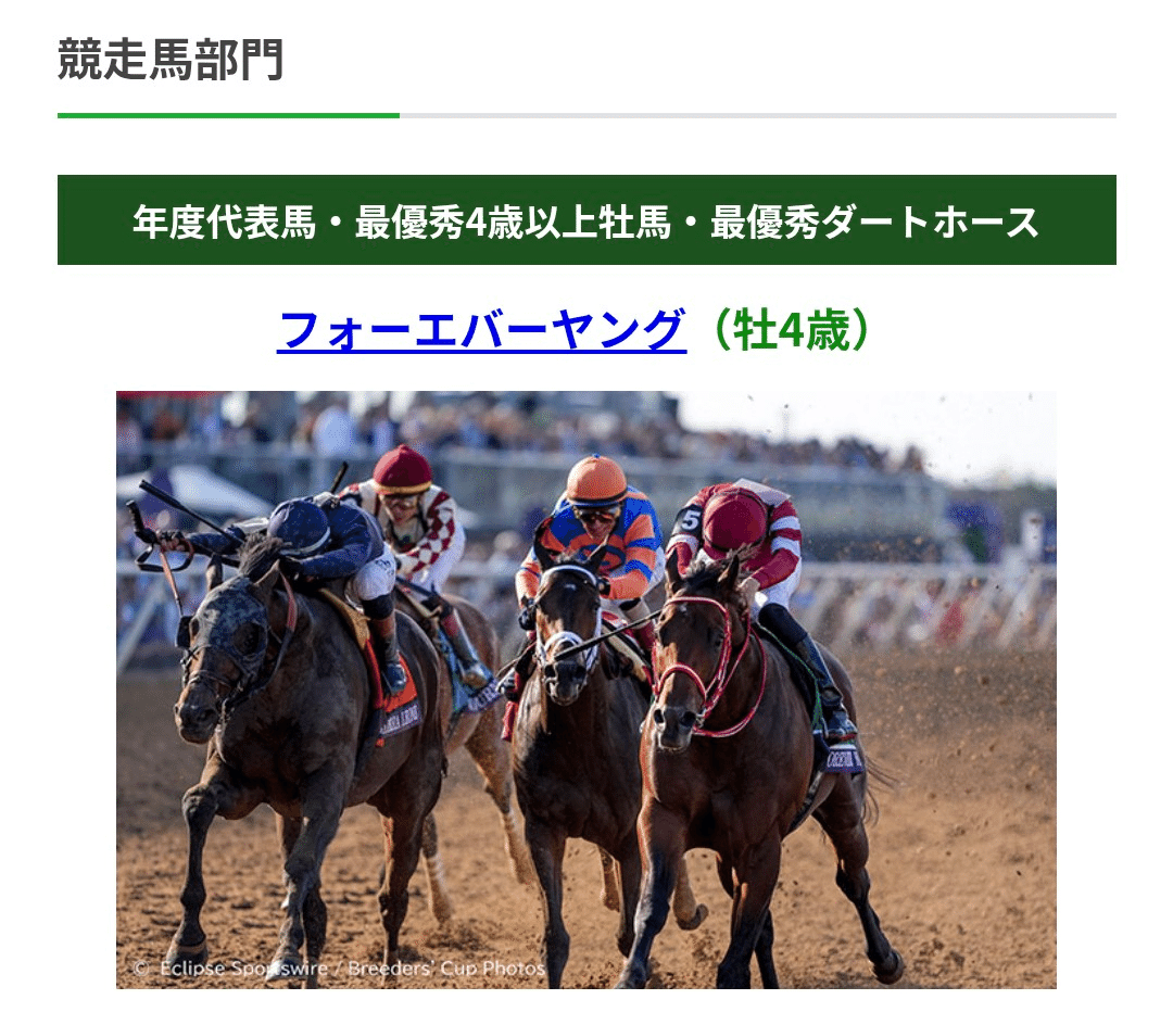 フォーエバーヤング 年度代表馬記念】2025 BC公式プログラム 金土版