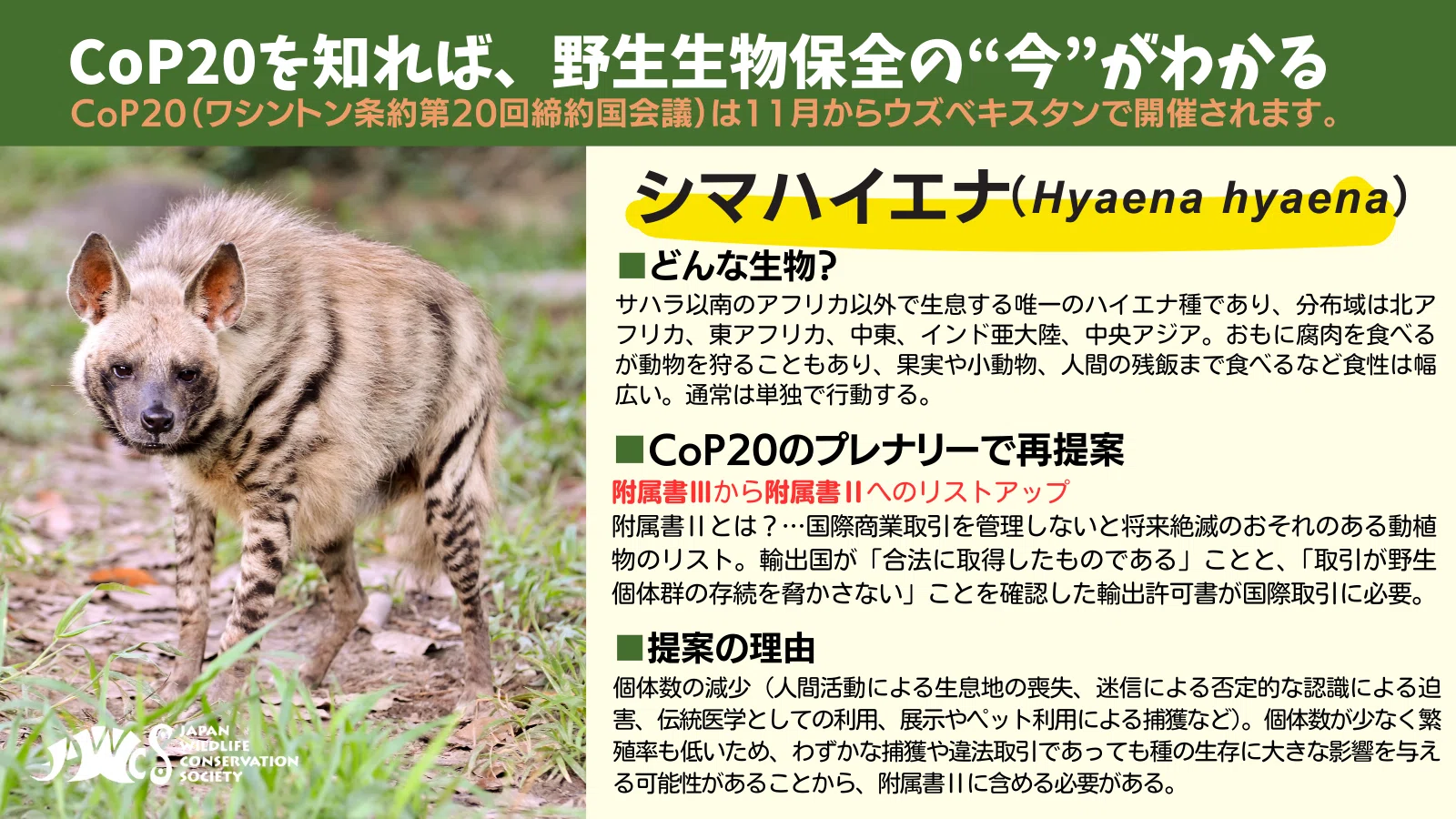 CITES CoP20】附属書改定提案 ①狩猟対象の動物たち｜認定NPO法人 野生
