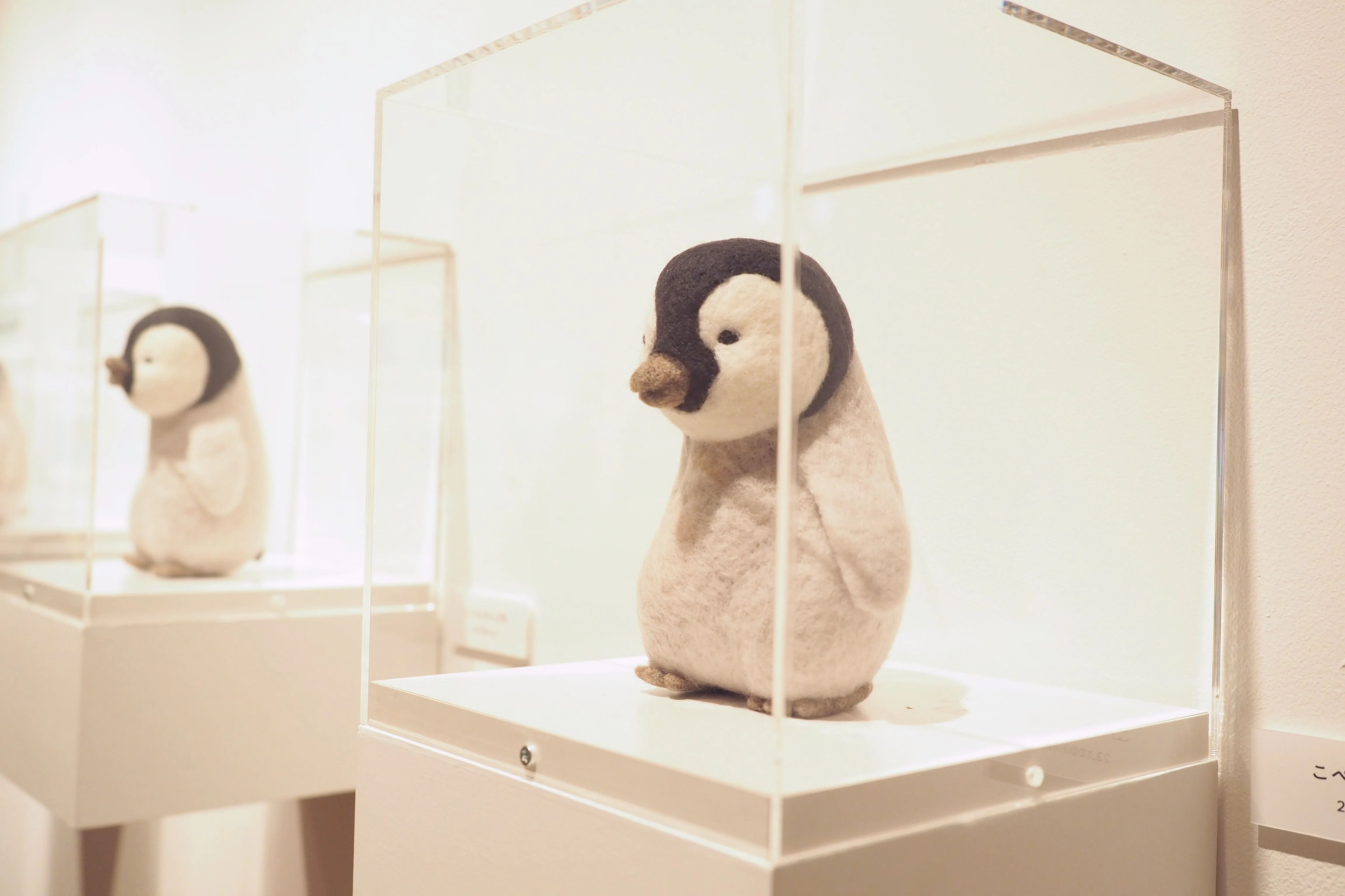 ペンギン展レポート｜SLEEPY SHEEP