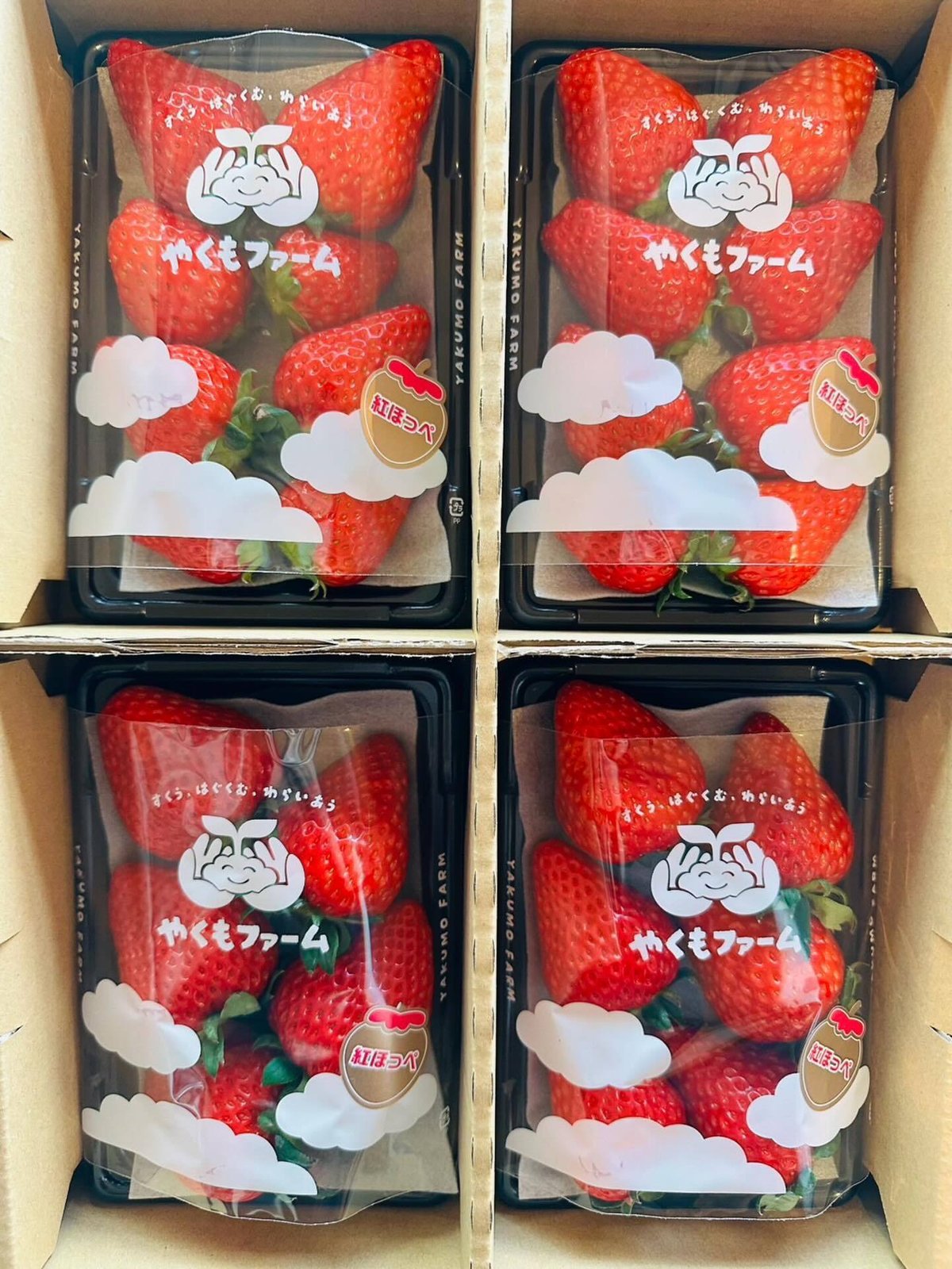 🍓 一般販売開始のお知らせ 🍓