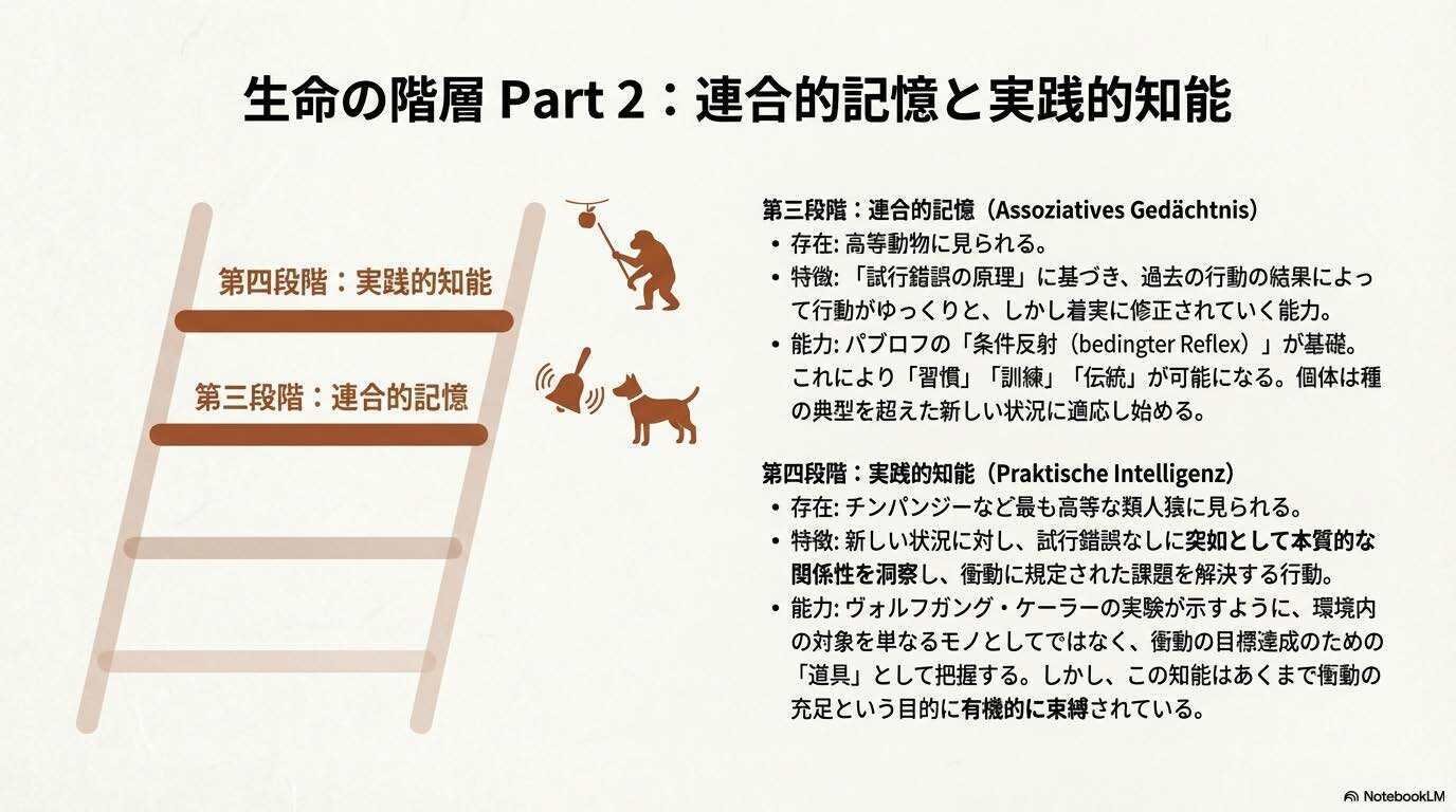 マックス・シェーラー: 精神と宇宙の人間学｜living-philosopher