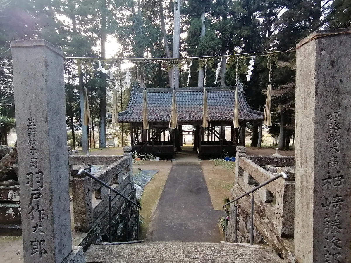 画像