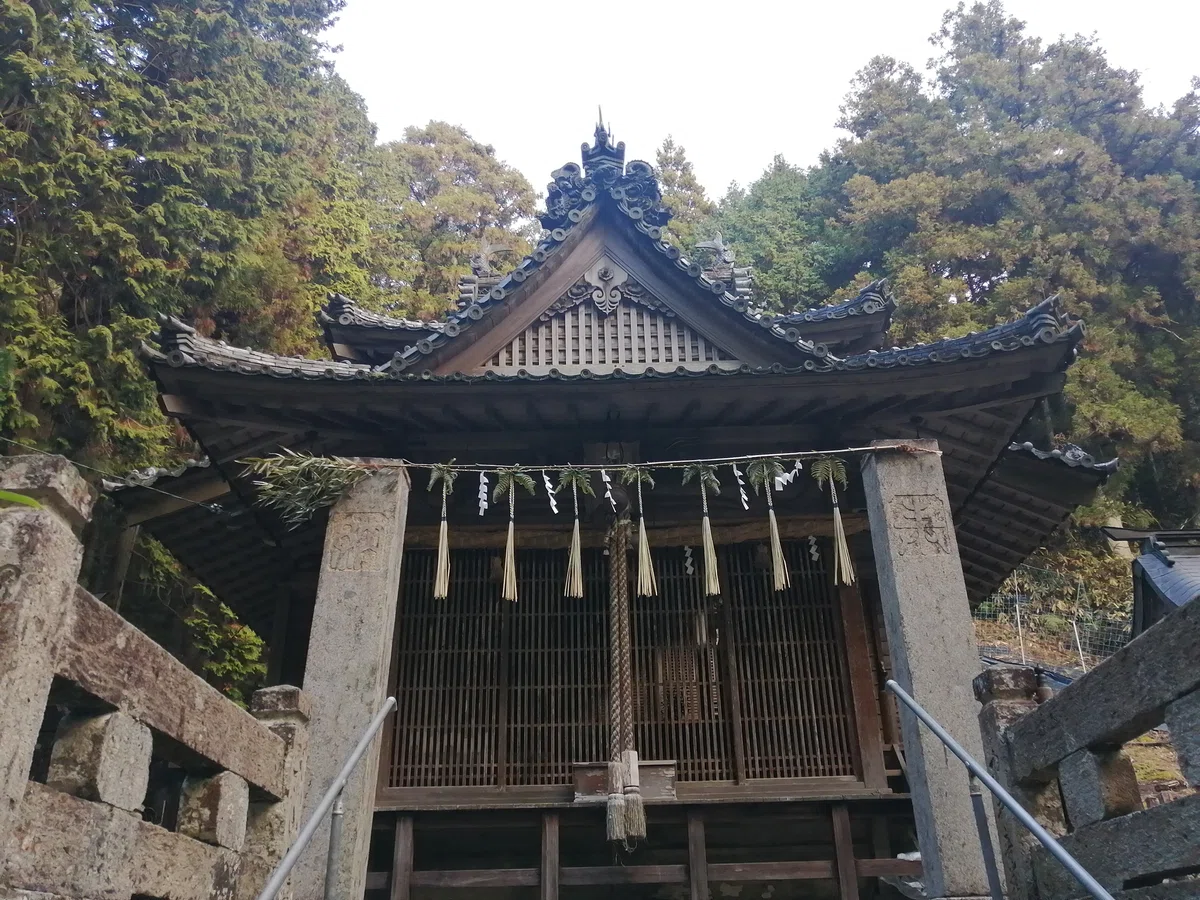 画像