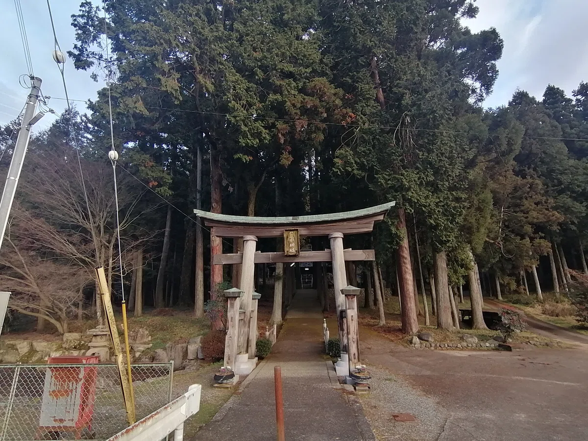 画像