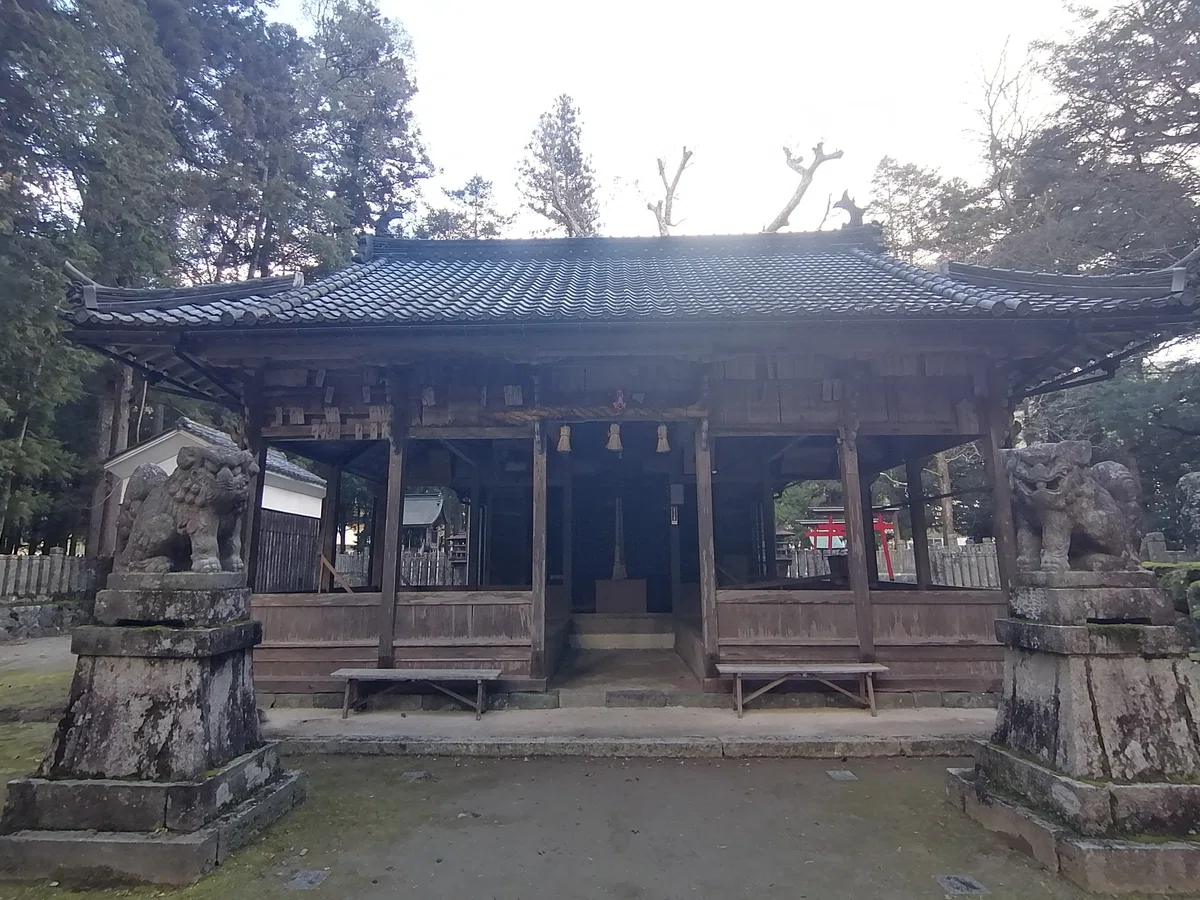 画像
