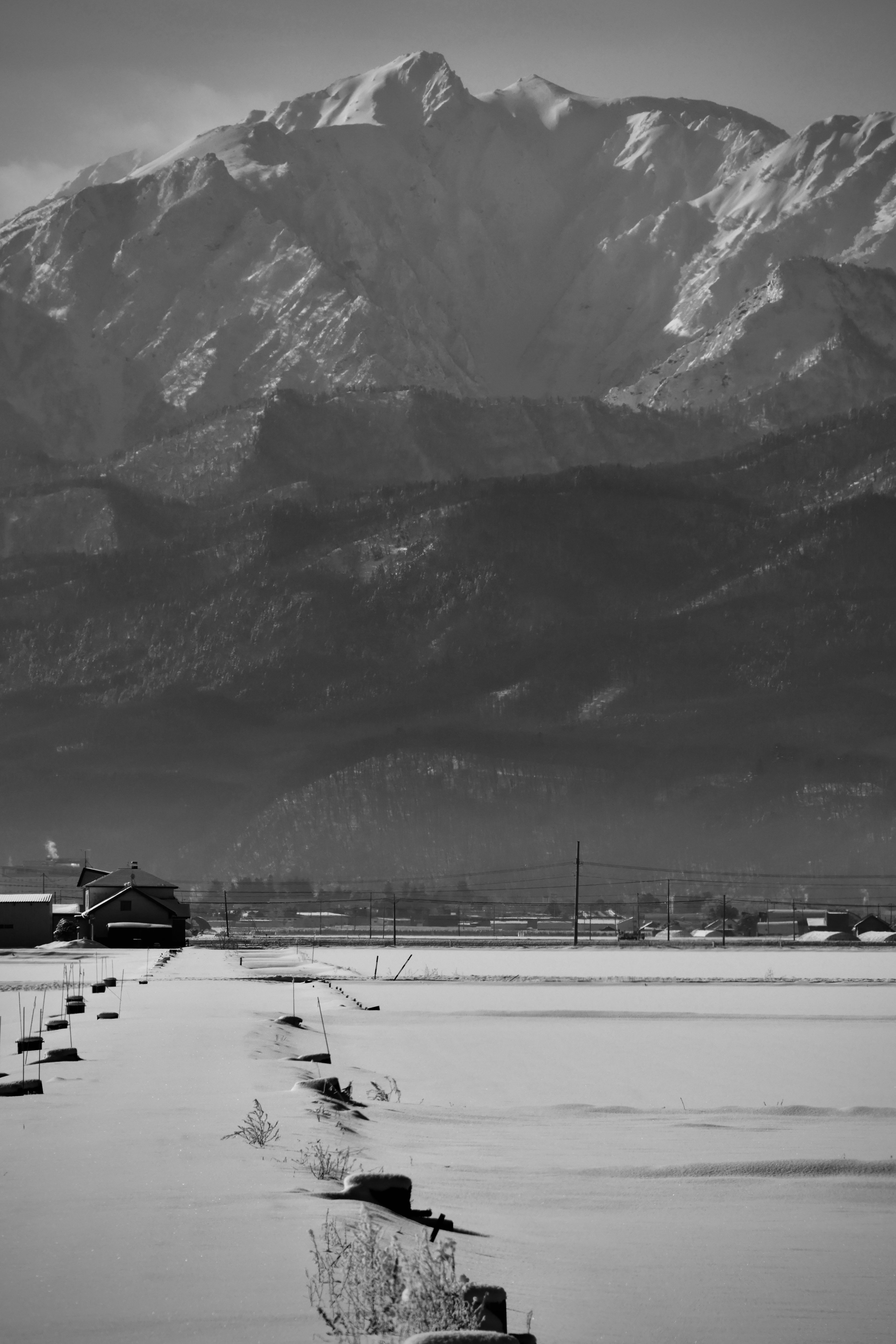 冬季収集中 真冬の旅2026 Day 7｜田中稔彦