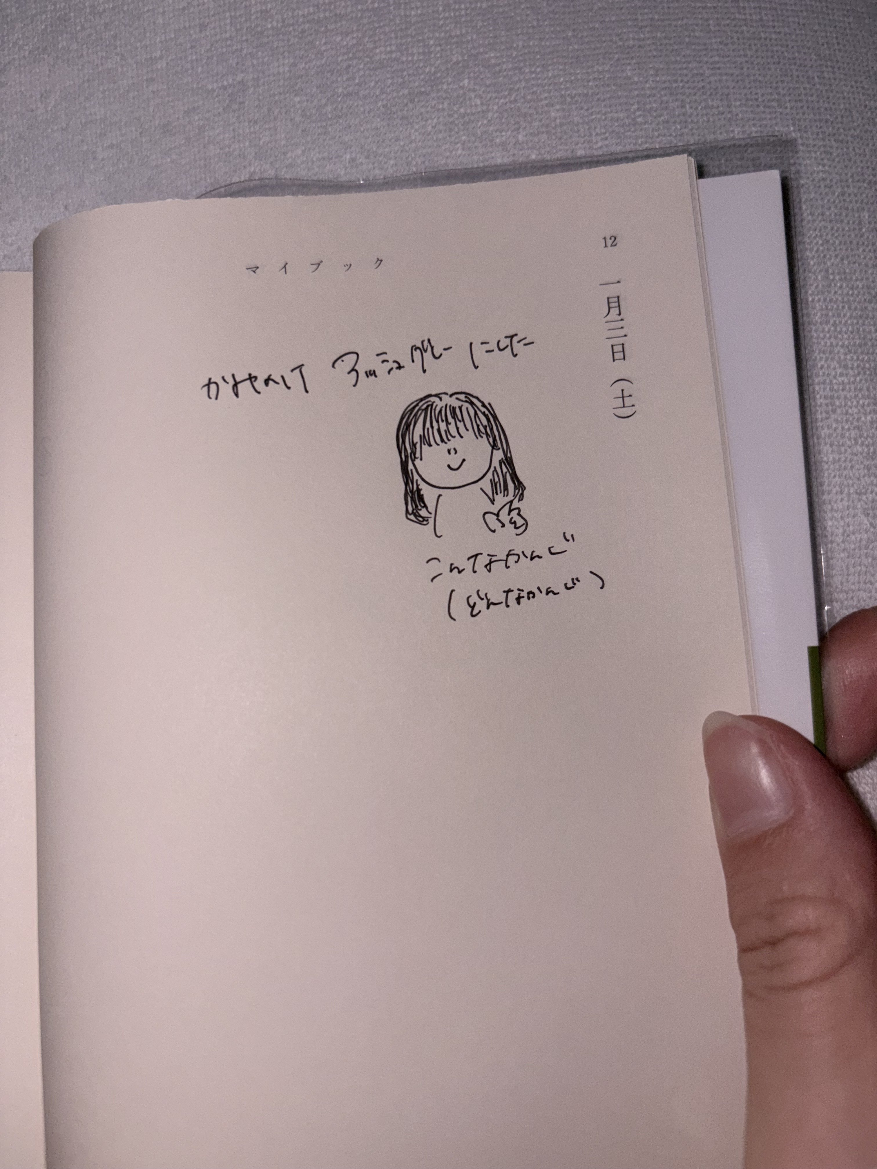 マイブック2026と己の自己評価ってどうしてる？っておはなし｜はる