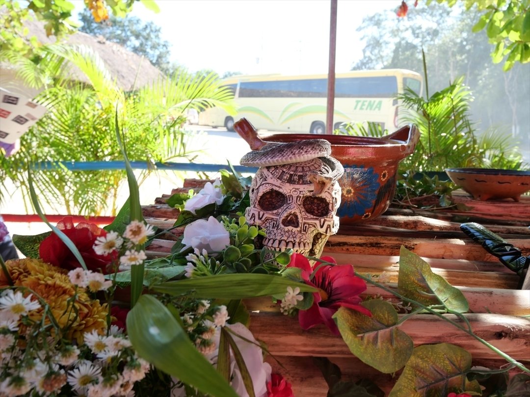 世界遺産チェチェン・イッツァ13時間耐久ツアー｜awesomestokyo