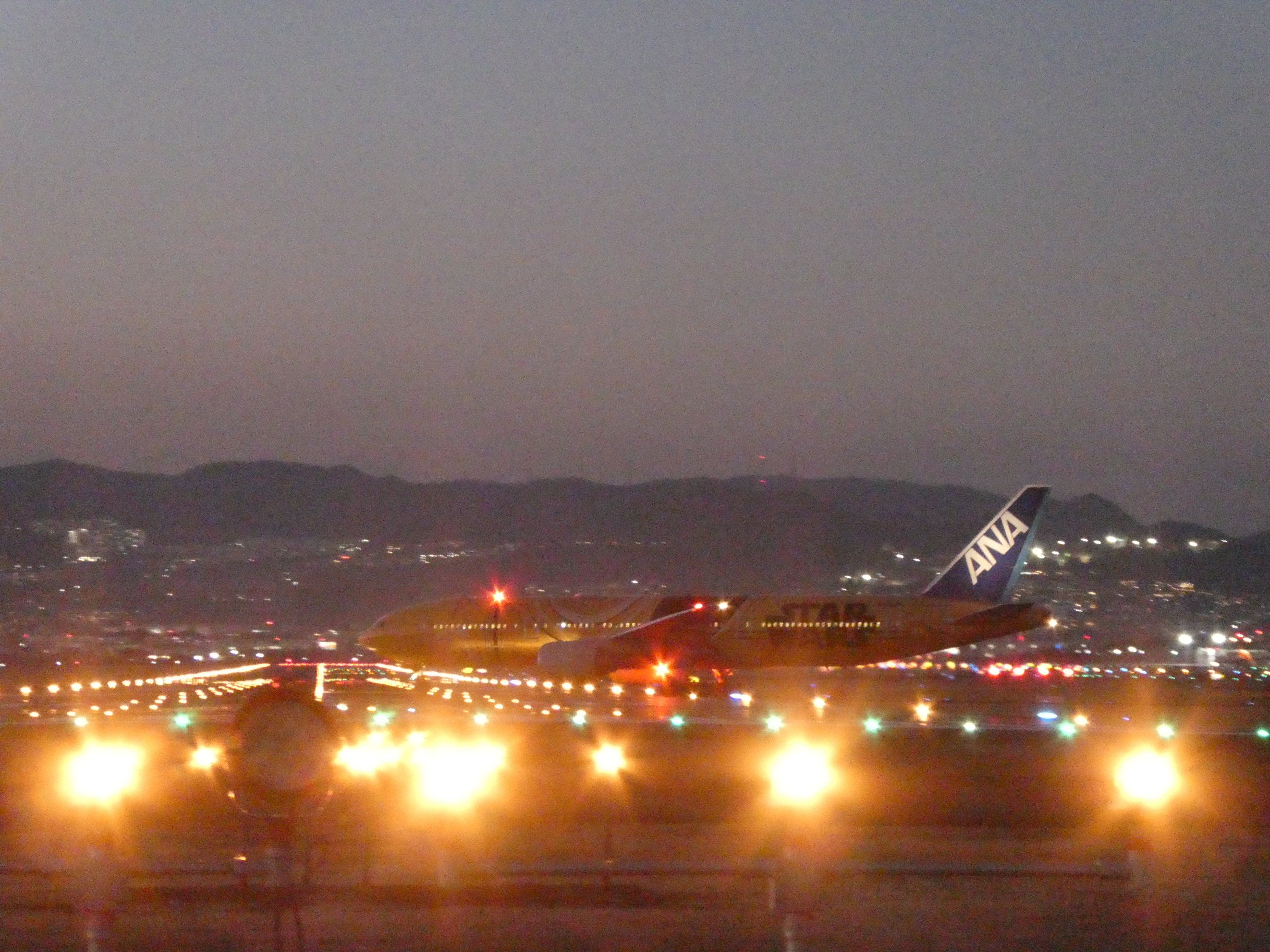 さようならたくあんさん 😑✈️😑｜すみび