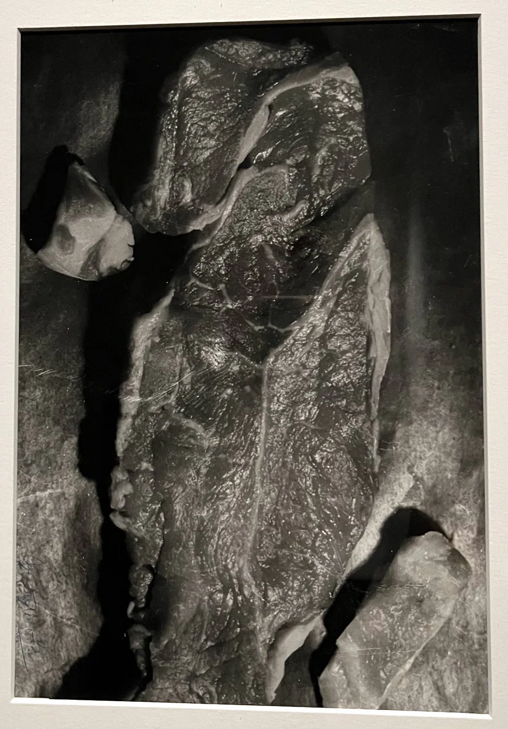 Expanding Surrealism: From Visual Arts to Advertising, Fashion, and ...