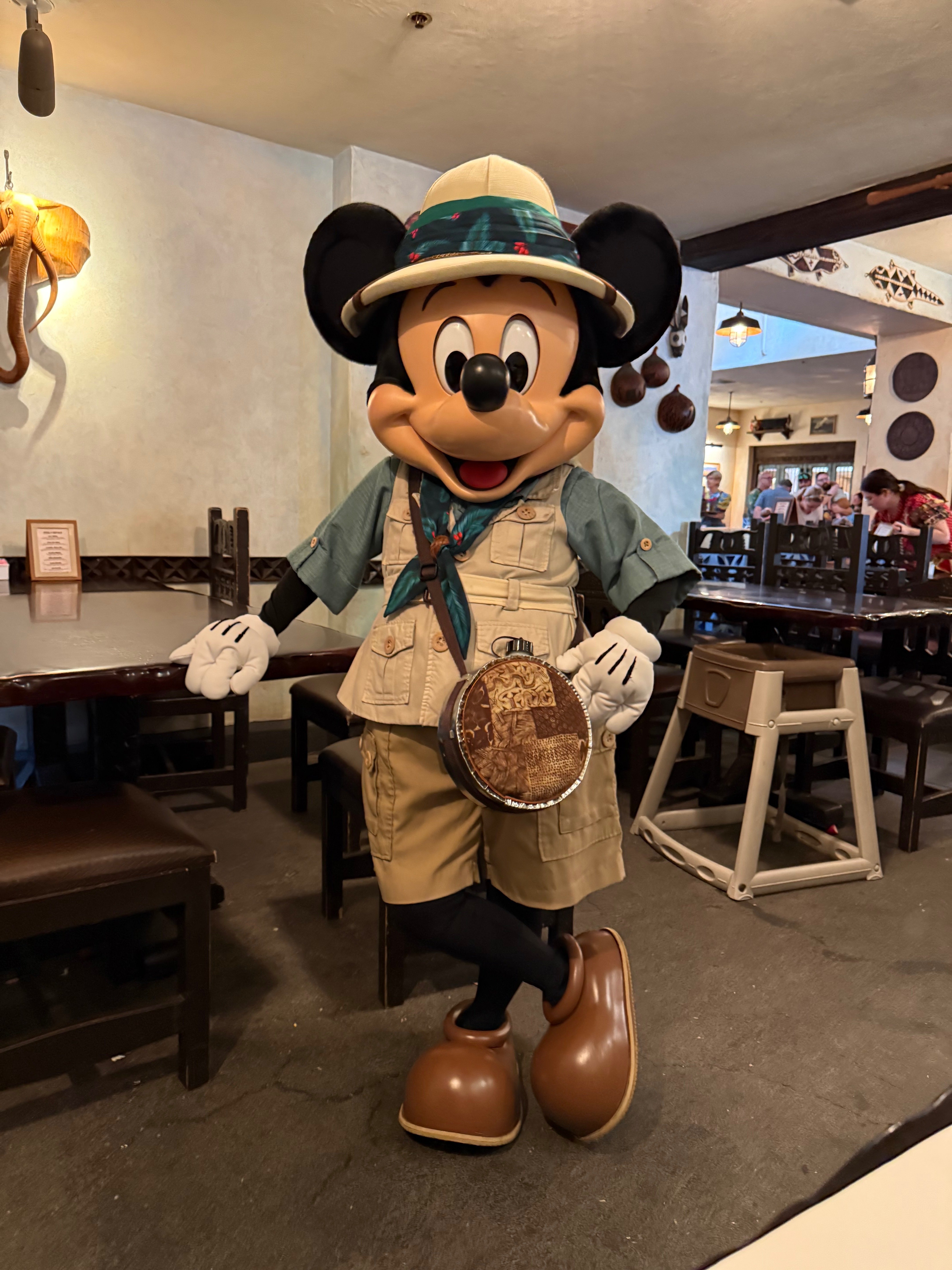 DLR→WDW202512🎄Day4①(アニマルキングダム)｜み