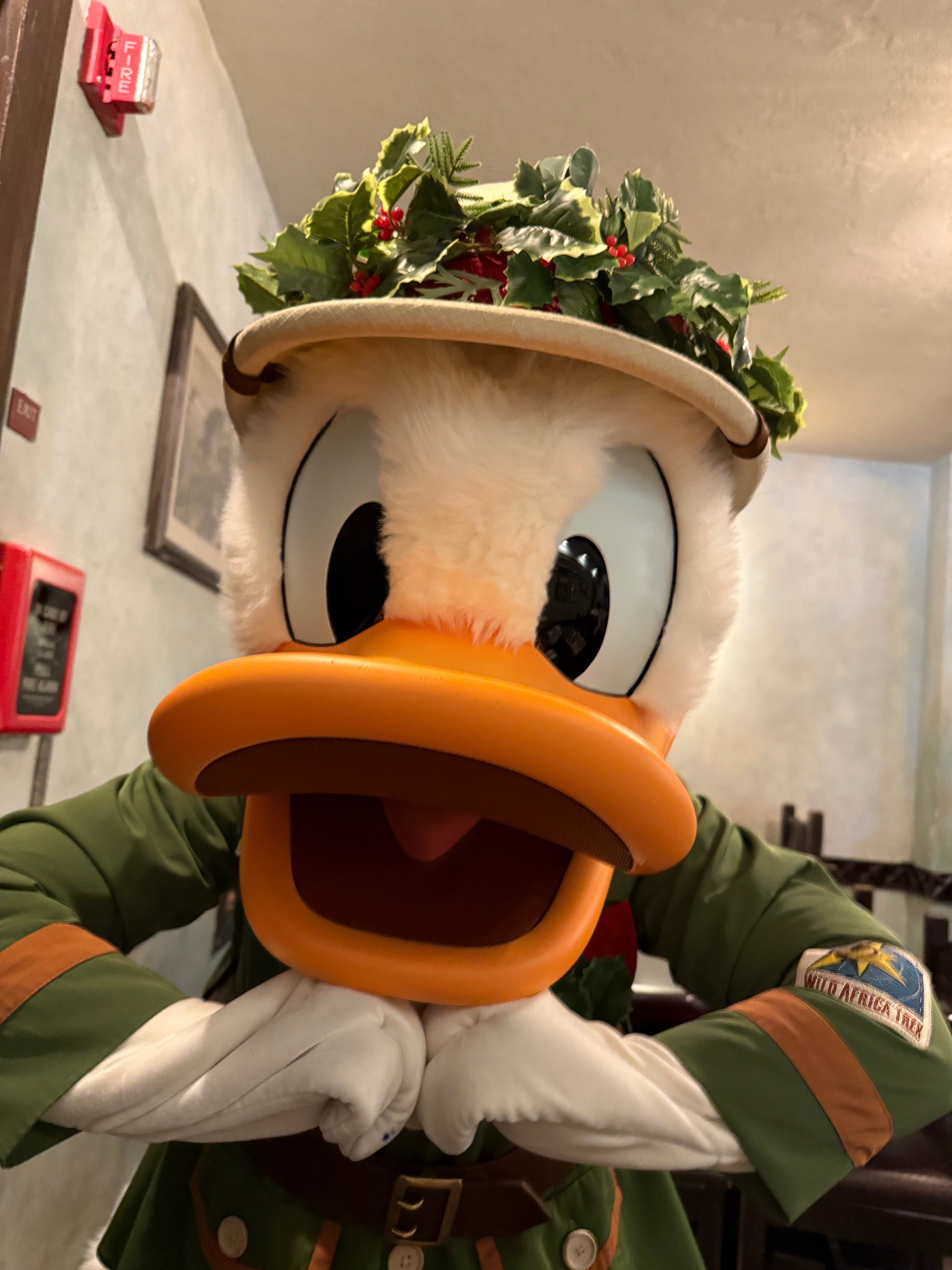 DLR→WDW202512🎄Day4①(アニマルキングダム)｜み