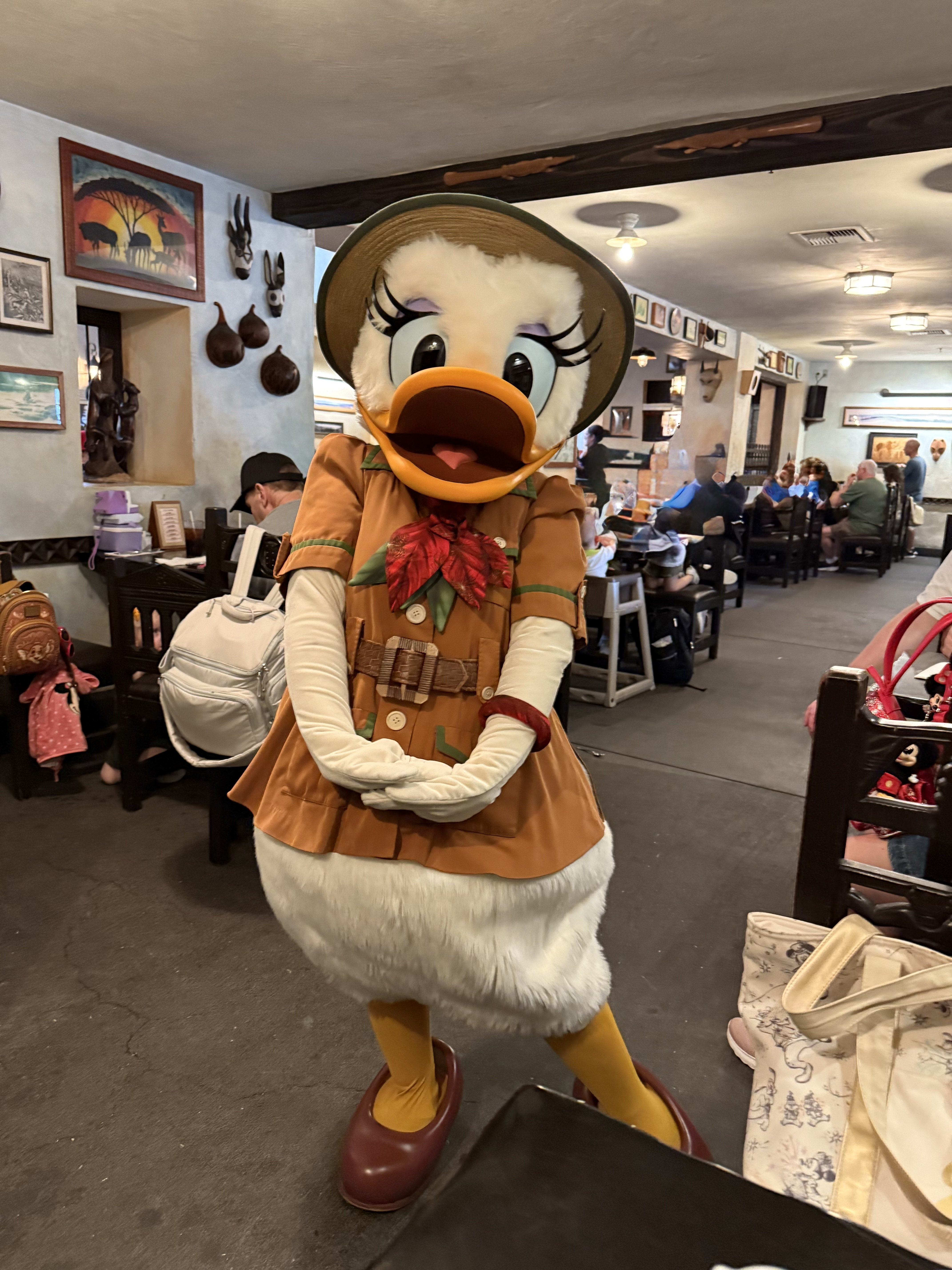 DLR→WDW202512🎄Day4①(アニマルキングダム)｜み