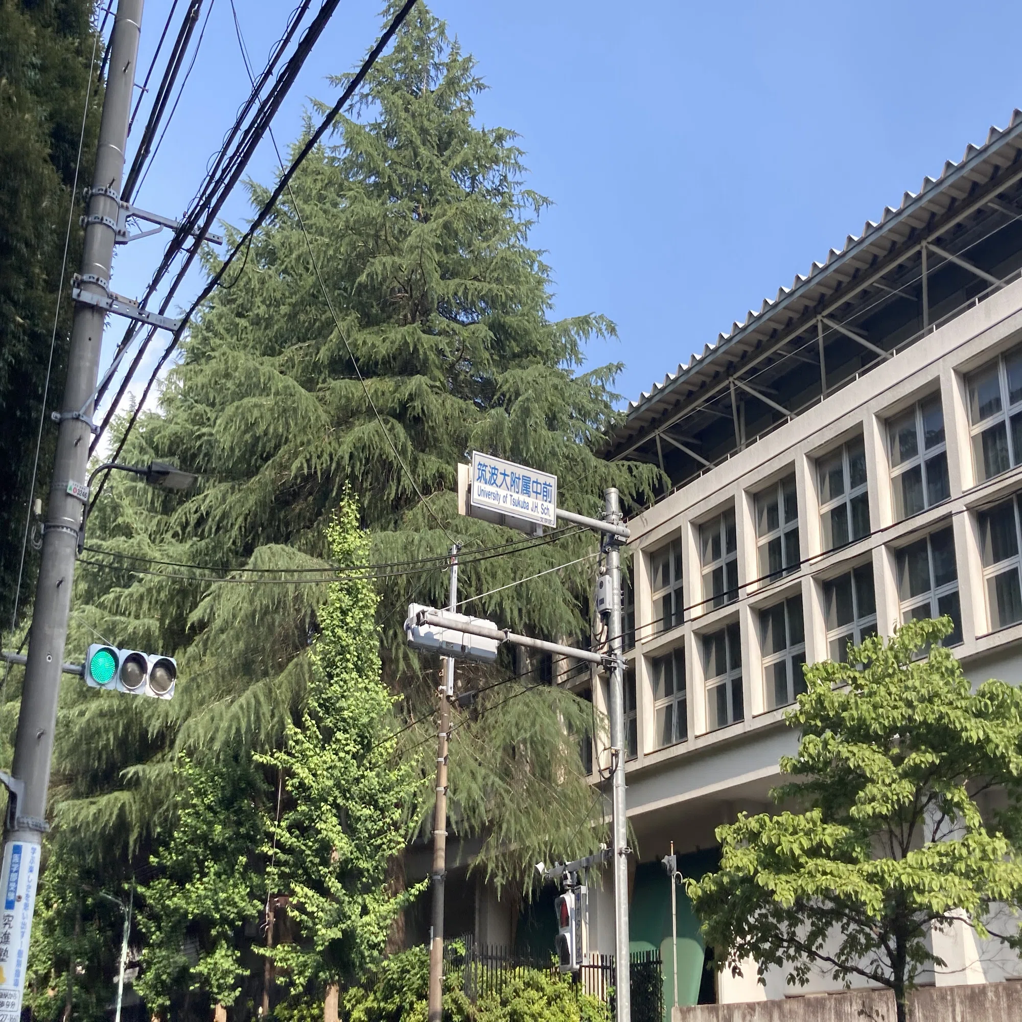 筑波大学附属高等学校／お茶の水女子大学附属高等学校【進学校巡礼 