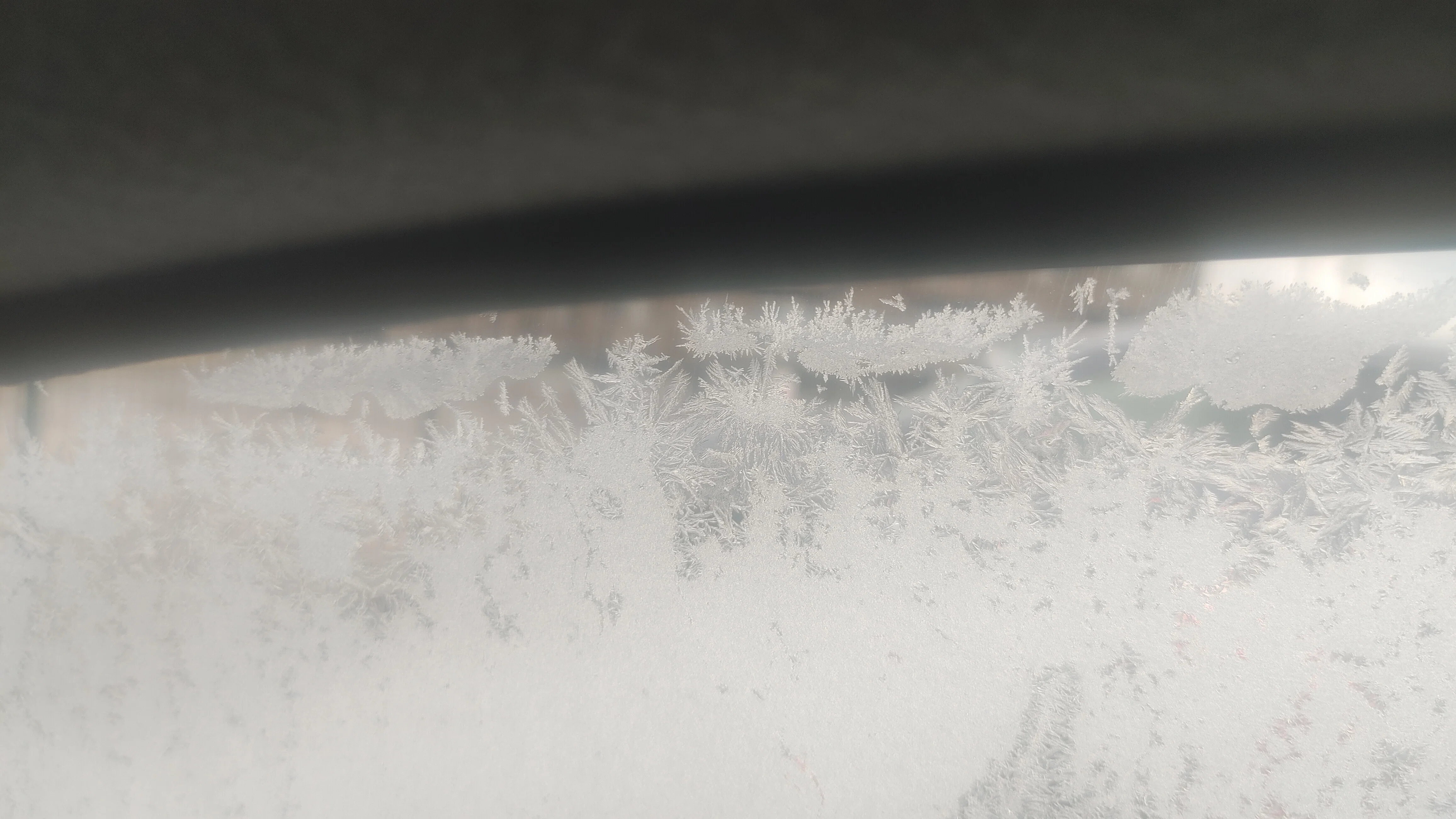 雪の結晶は肉眼じゃ見られないんですぜ？｜佐藤プリン