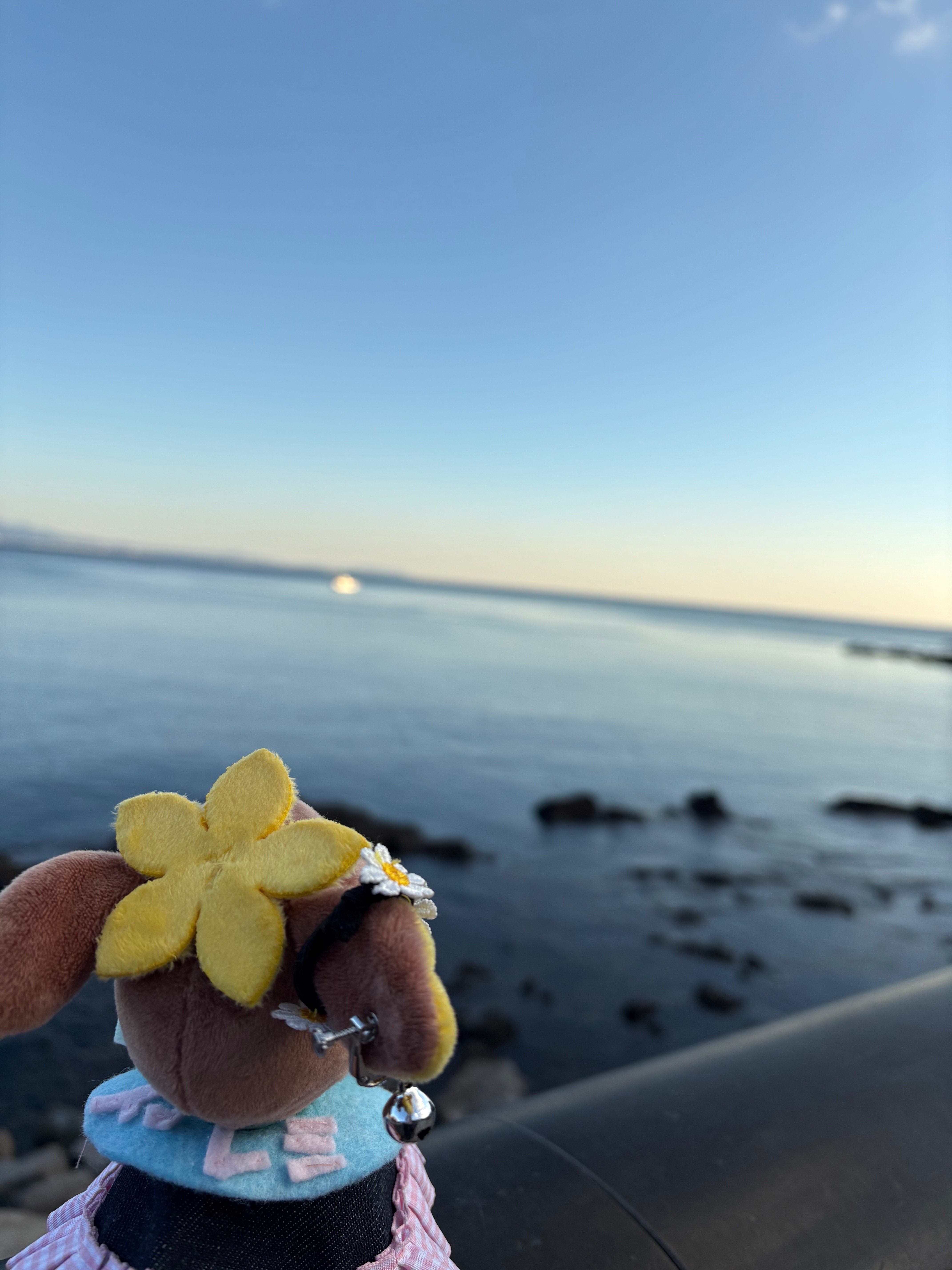 こすまる探検隊 第32弾 NG集｜こすまる