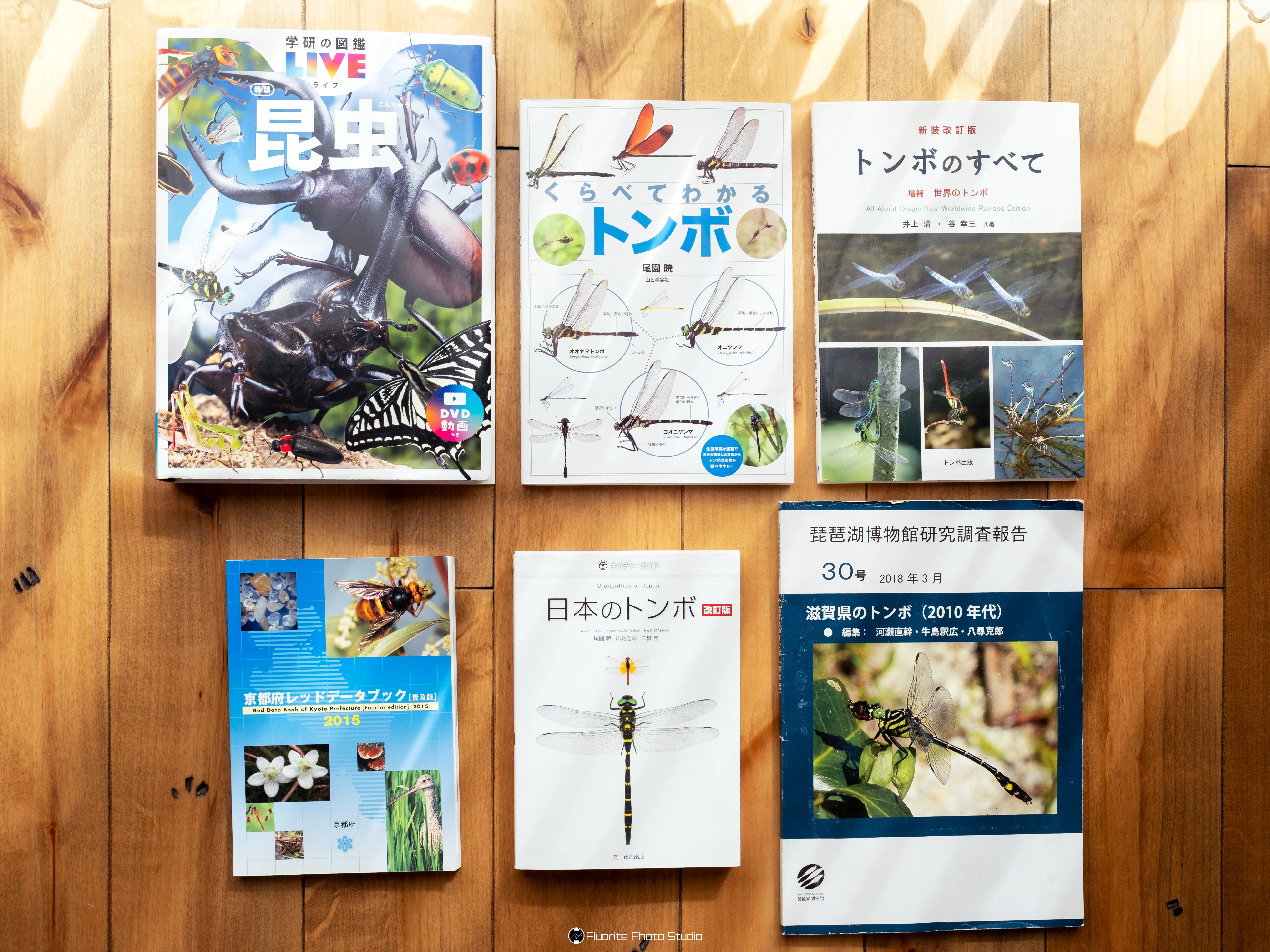 寄稿】トンボを撮りにいこう！〜トンボを被写体にした作品づくりの楽し