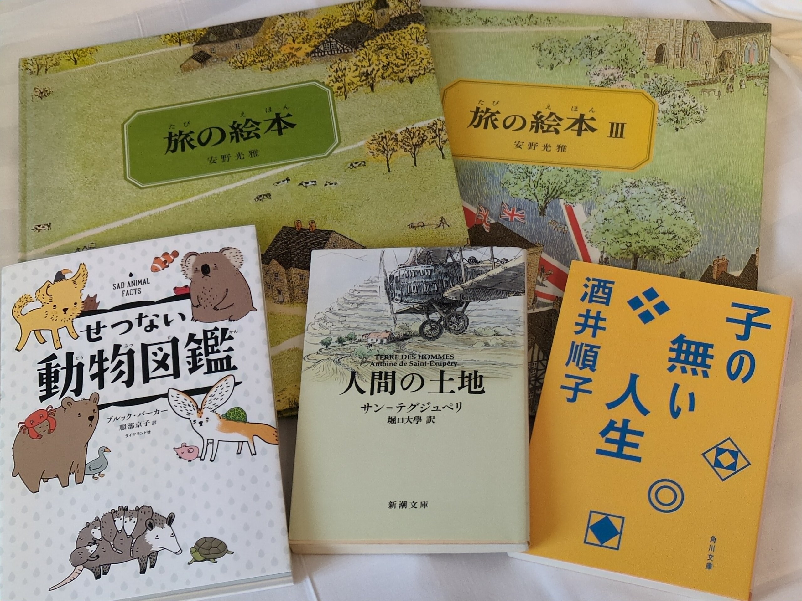 洋書　絵本　まとめ売り　71冊 洋書 絵本 まとめ売り 71冊 Amazon | レアセット 洋書絵本 輸入絵本