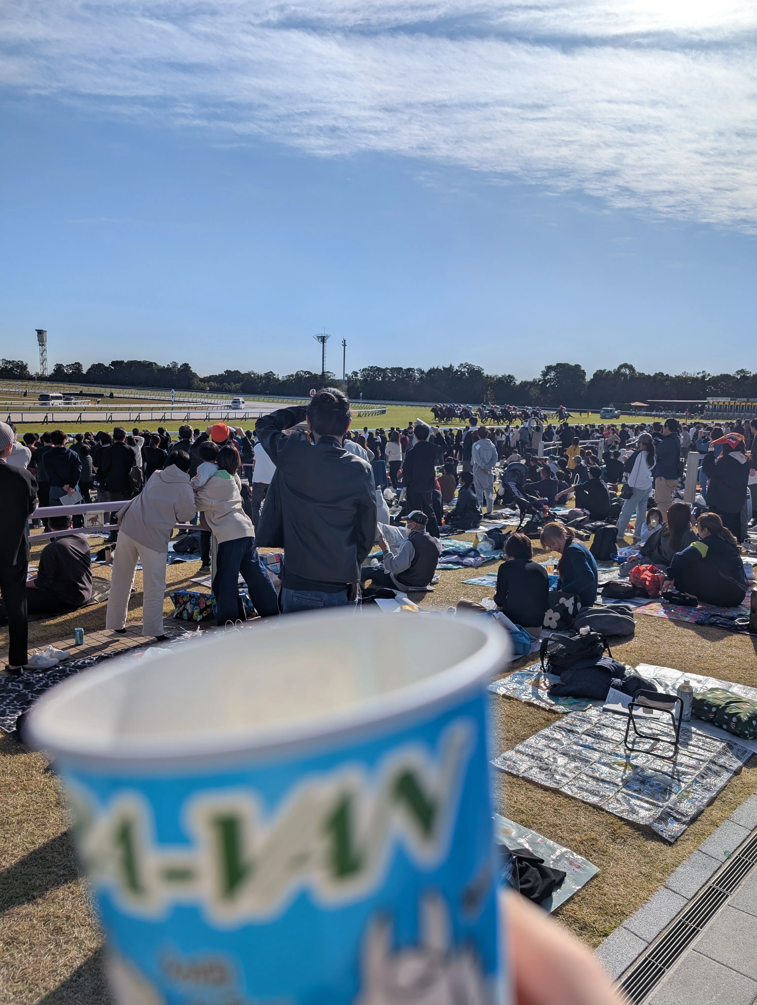 祝・百周年。淀に佇む楽園「JRA京都競馬場」。｜堀江京人