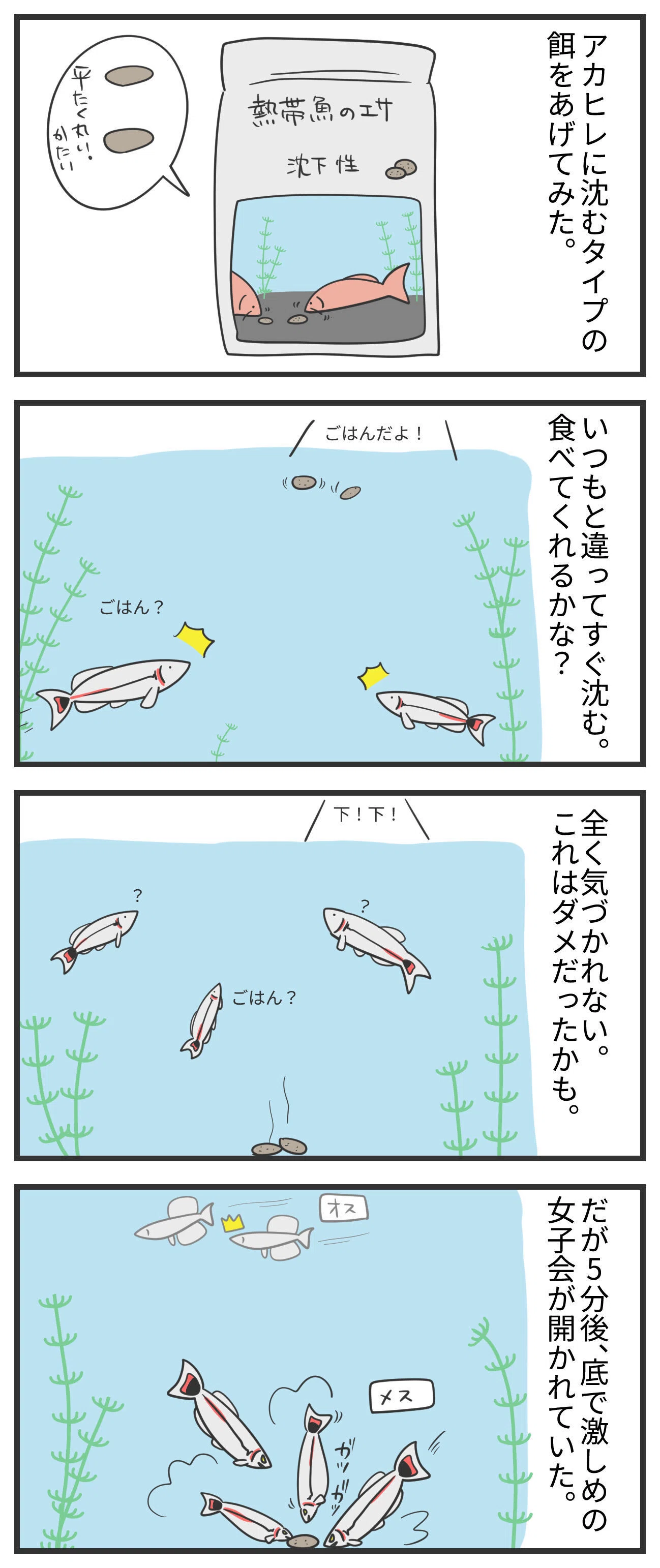 アカヒレ観察日記#14餌の種類はいろいろ｜haric|アカヒレ日記(漫画)