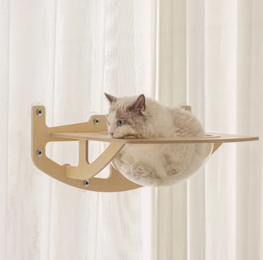 [Iikore! 2026 Trends] Works of art. The world of "premium cat towers ...